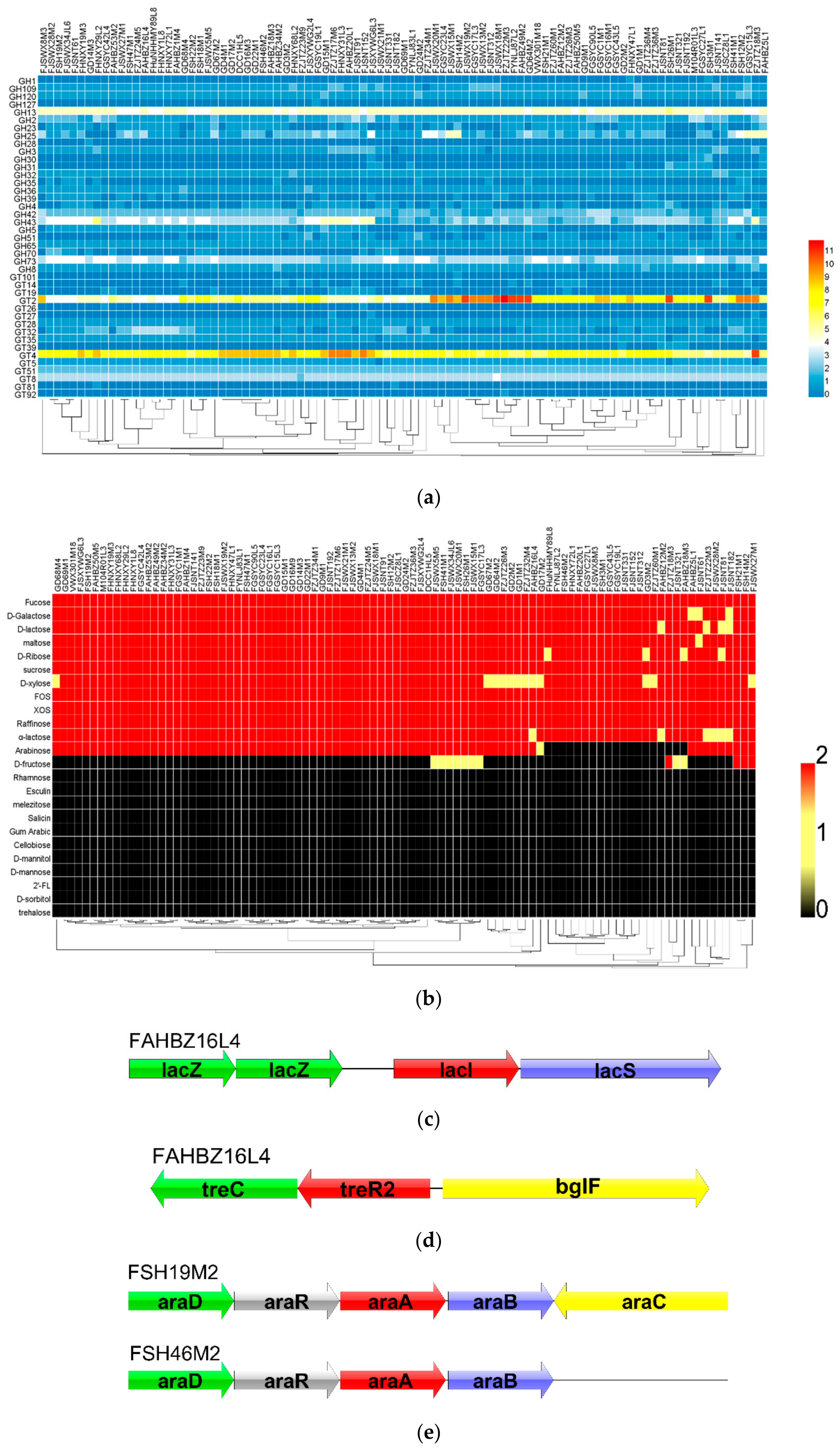Genes 11 00095 g003a Genes 11 00095 g003a