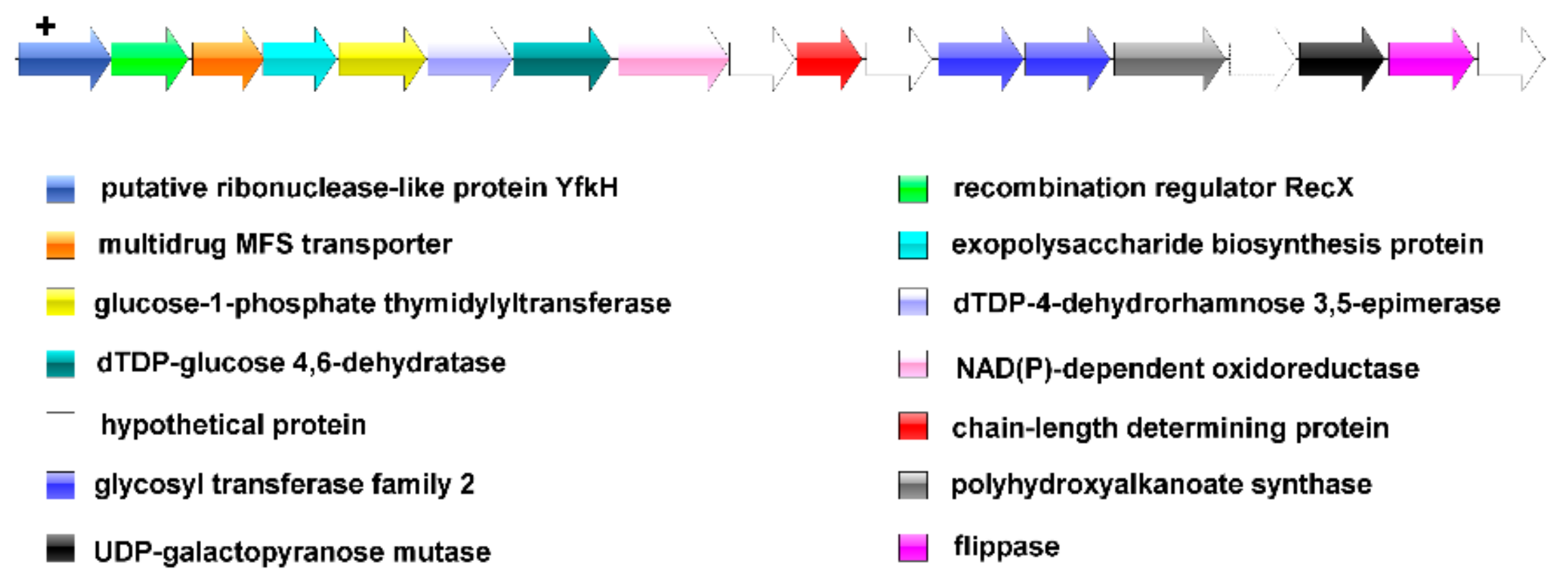 Genes 11 00095 g004 Genes 11 00095 g004