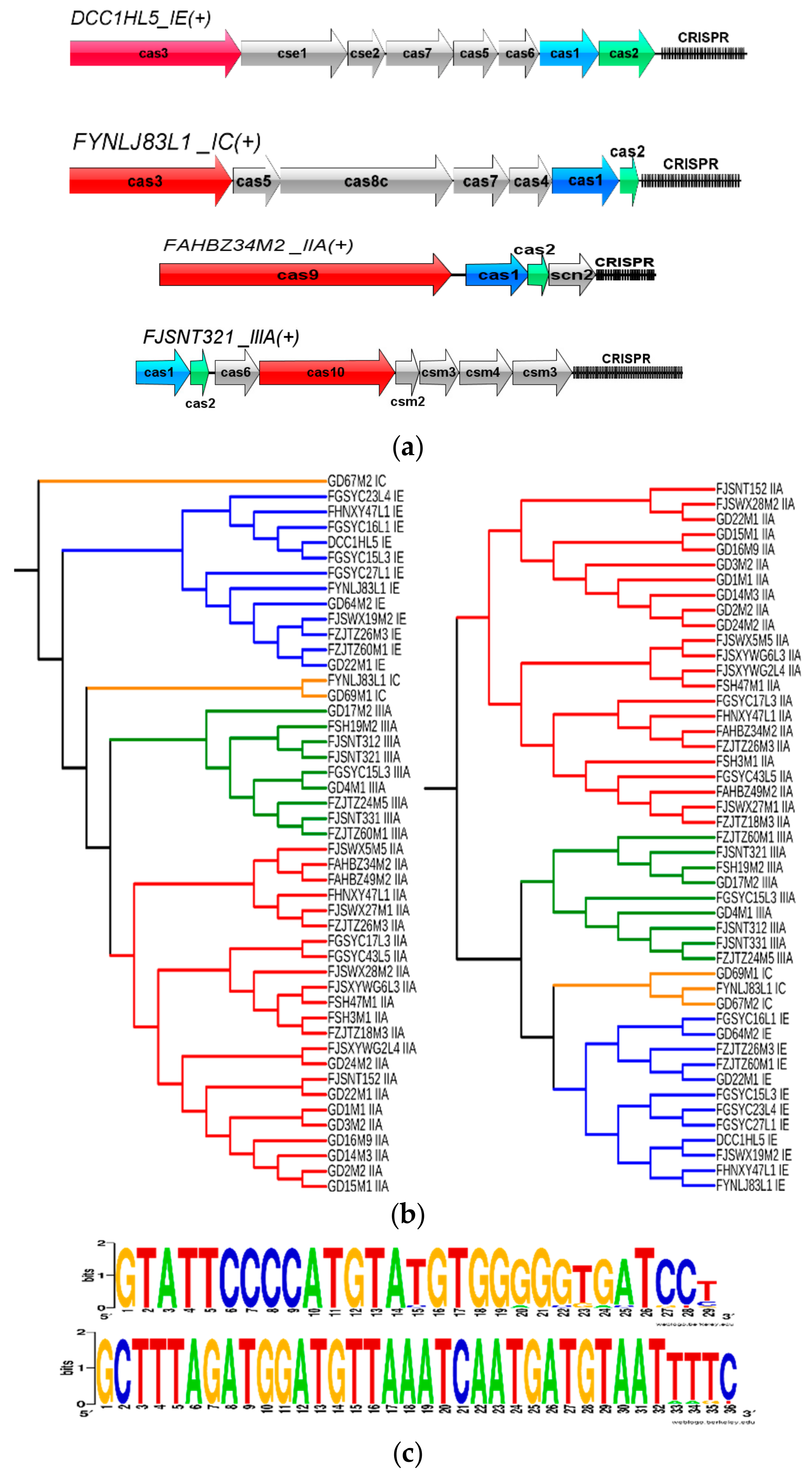 Genes 11 00095 g006 Genes 11 00095 g006