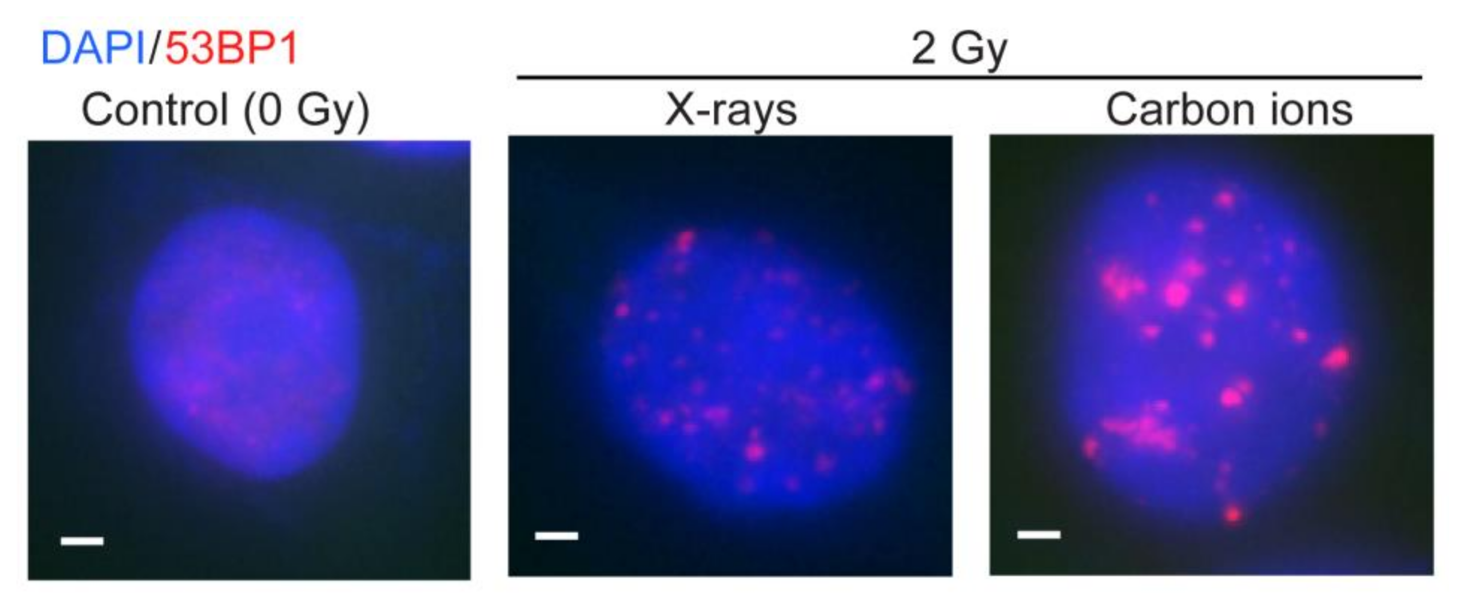 Genes 11 00099 g002