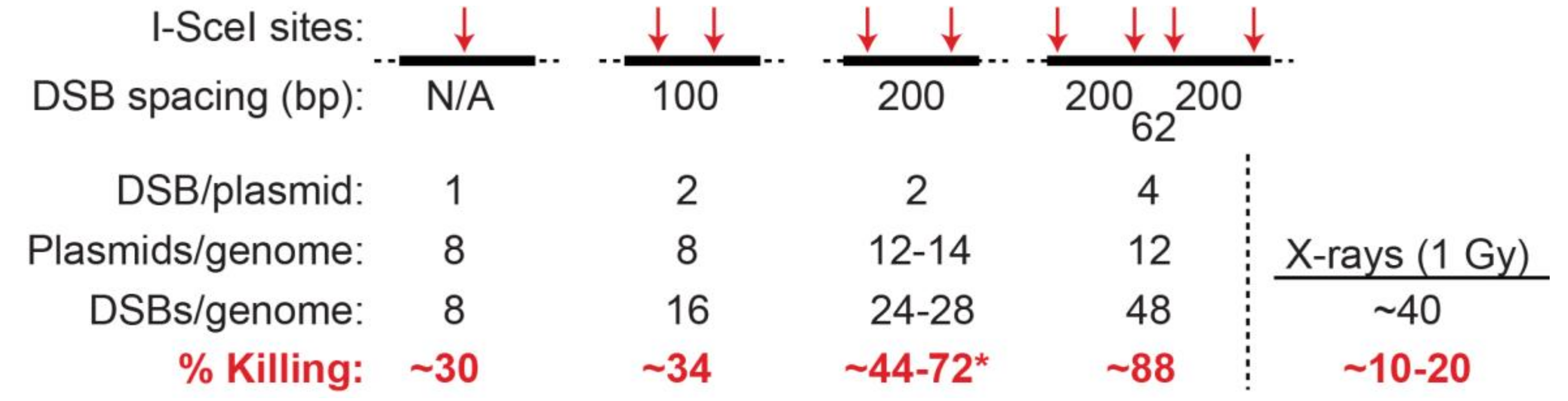 Genes 11 00099 g003