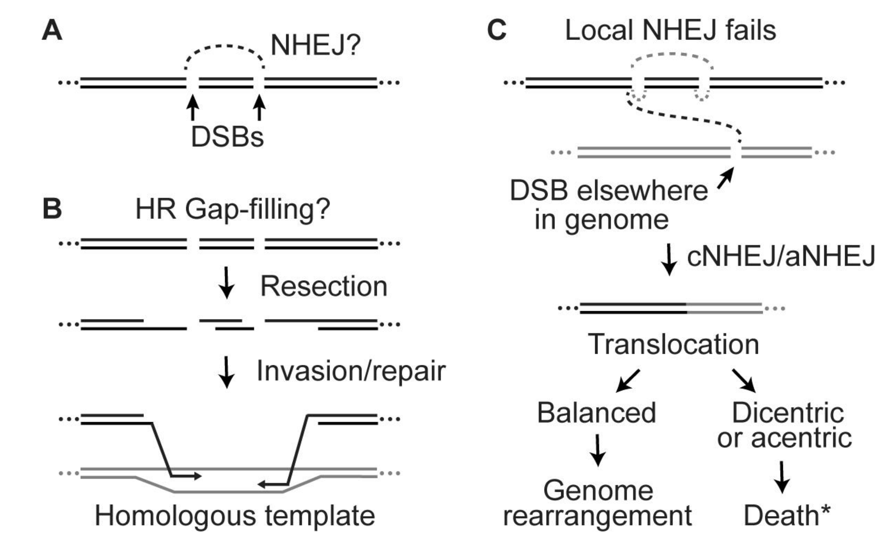 Genes 11 00099 g004