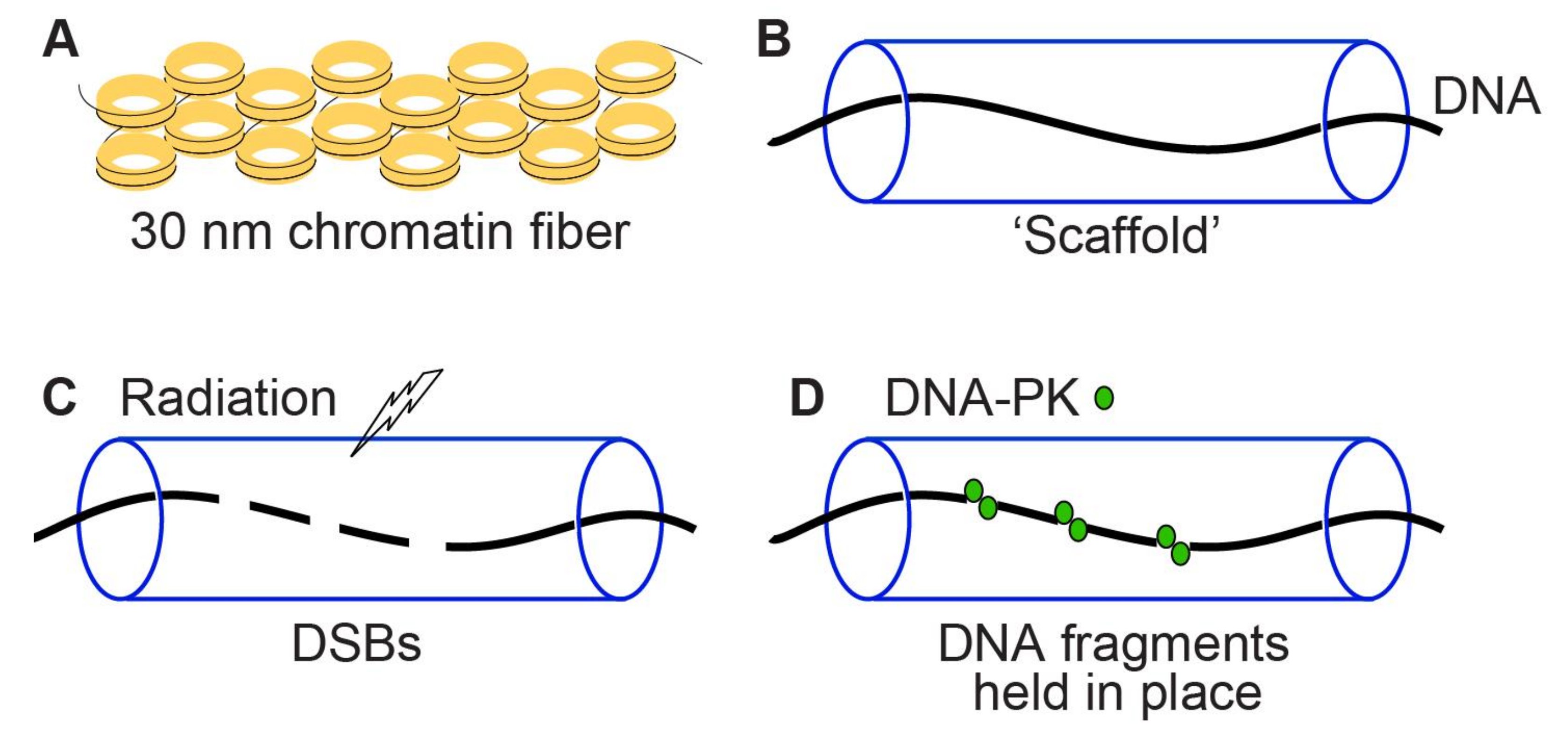 Genes 11 00099 g005