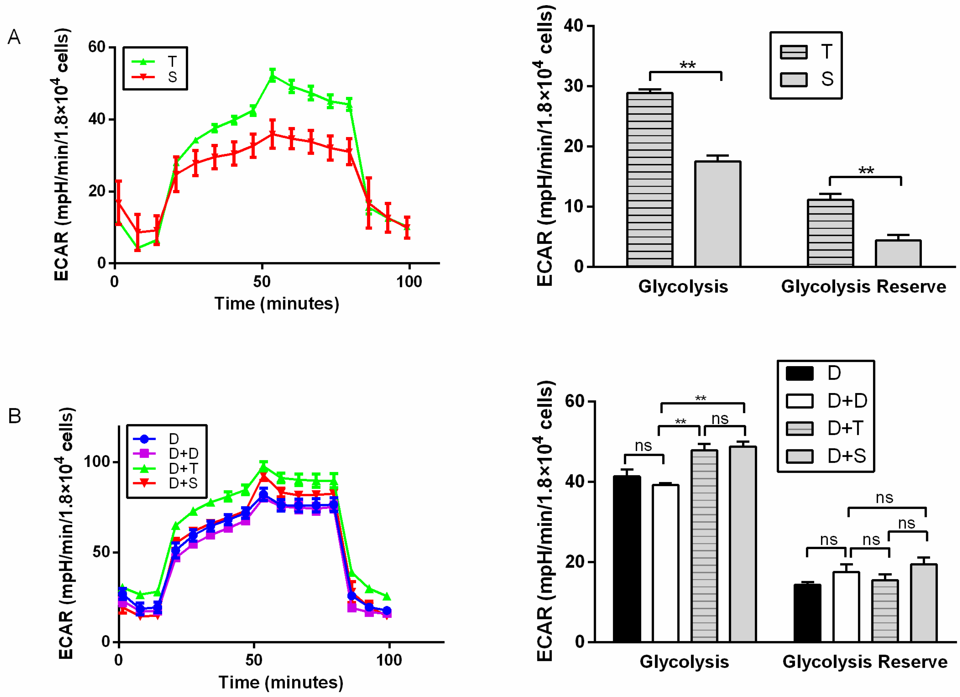 Genes 11 00100 g003 Genes 11 00100 g003