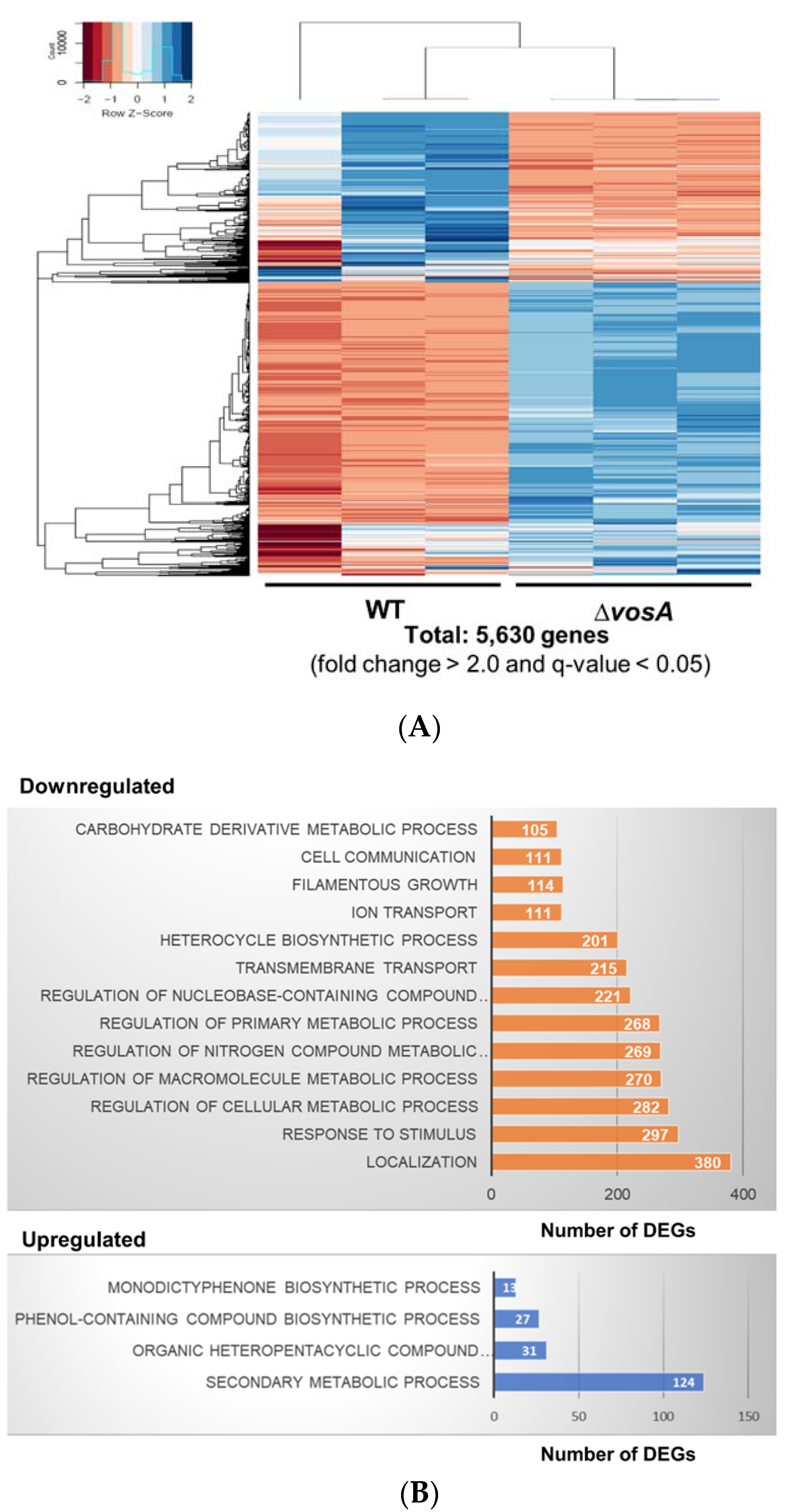 Genes 11 00103 g002