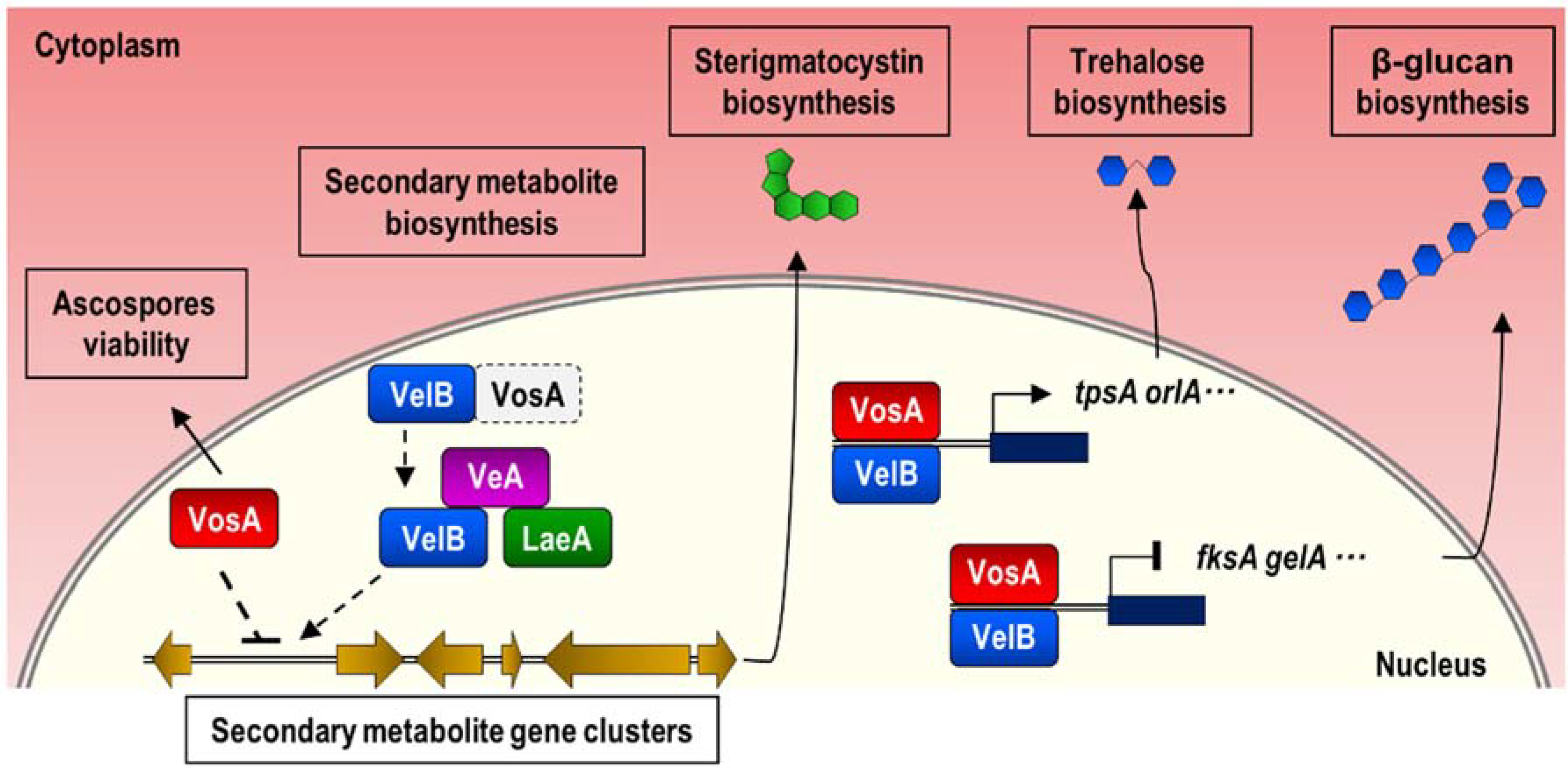 Genes 11 00103 g006