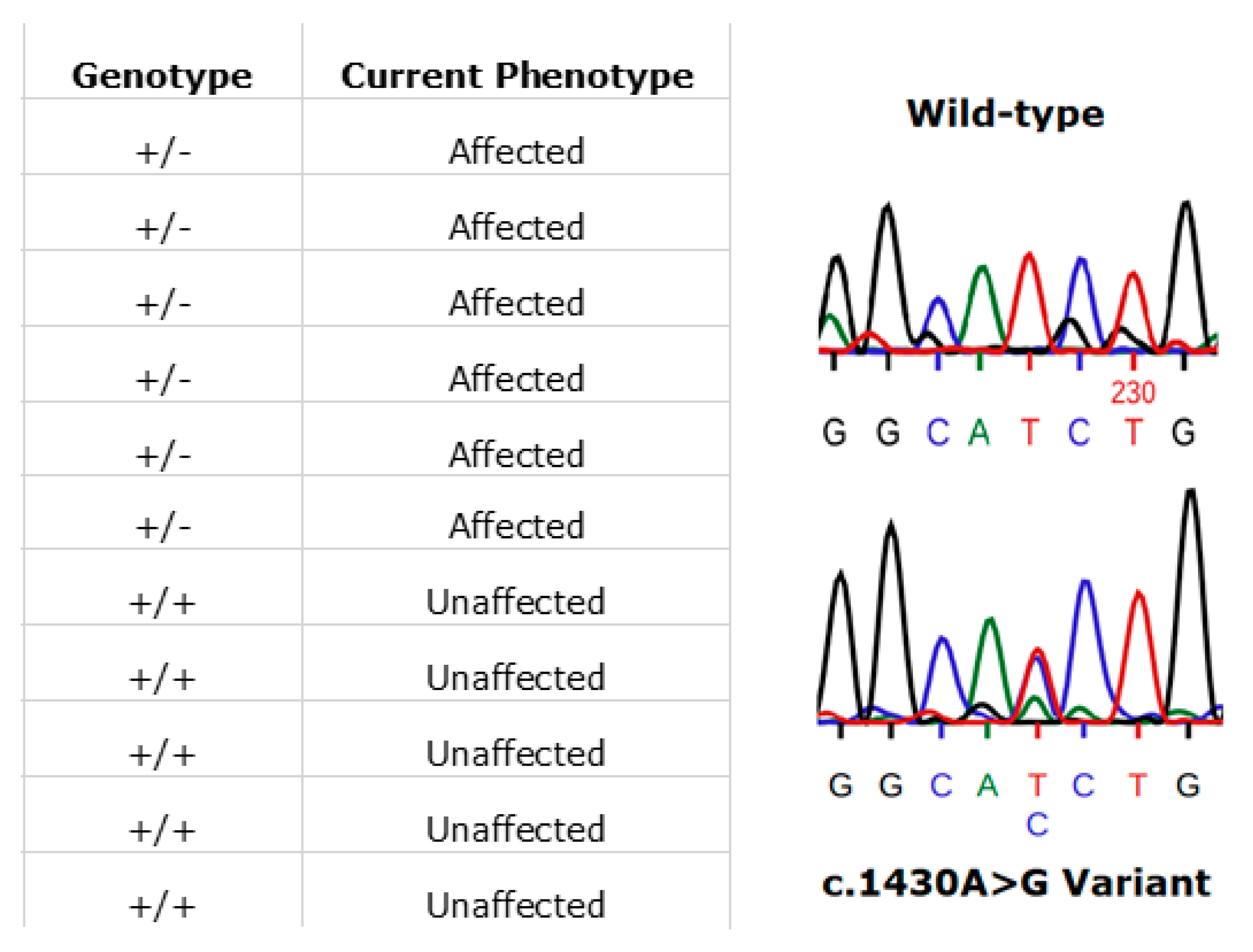 Genes 11 00105 g009