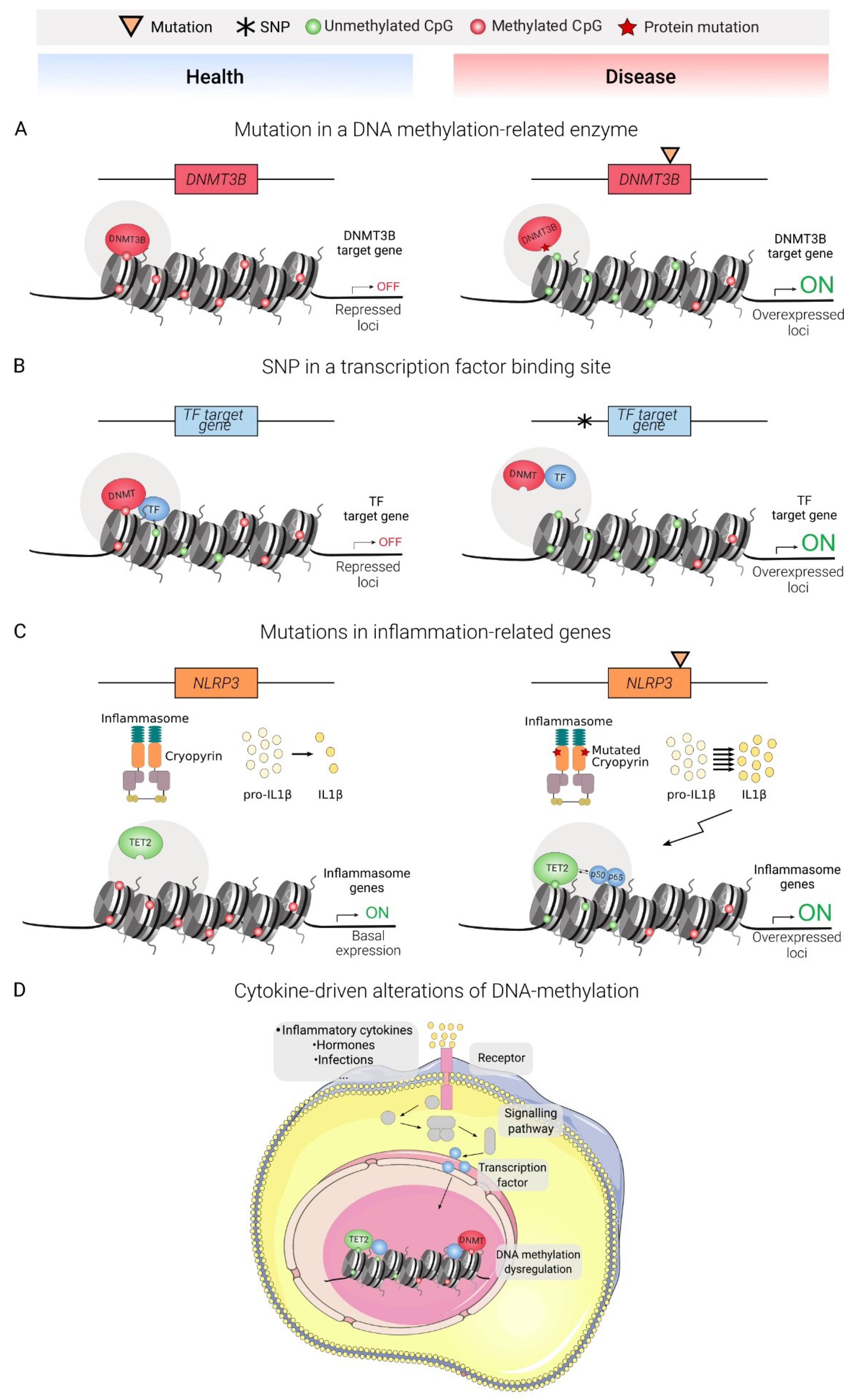 Genes 11 00110 g002 Genes 11 00110 g002