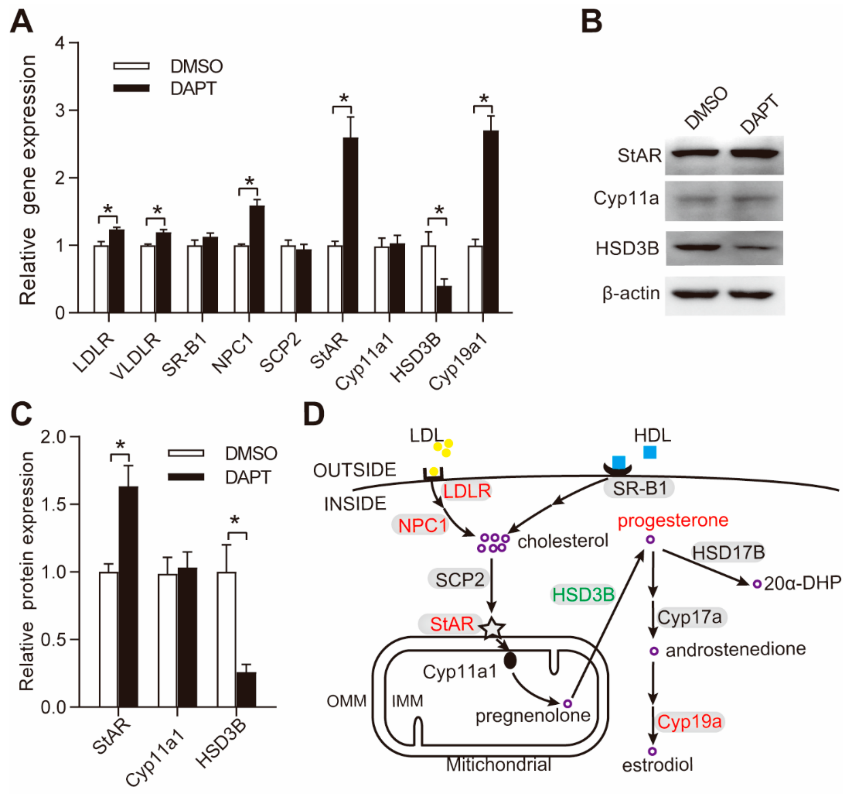 Genes 11 00120 g002 Genes 11 00120 g002