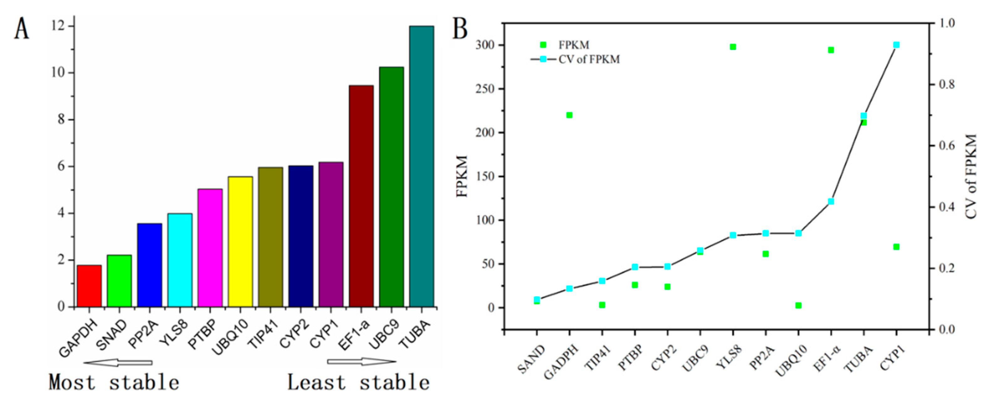 Genes 11 00130 g004 Genes 11 00130 g004