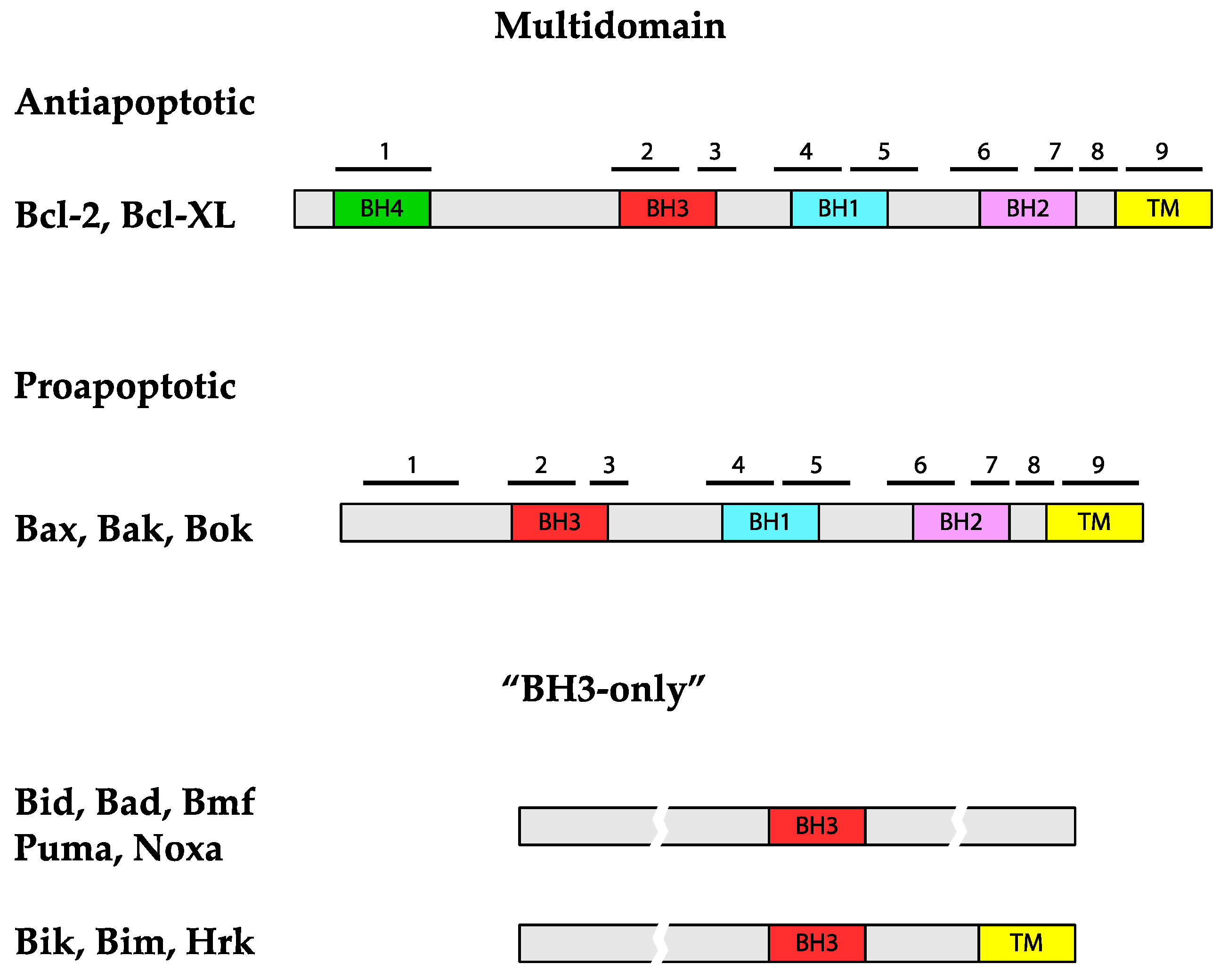 Genes 11 00145 g002