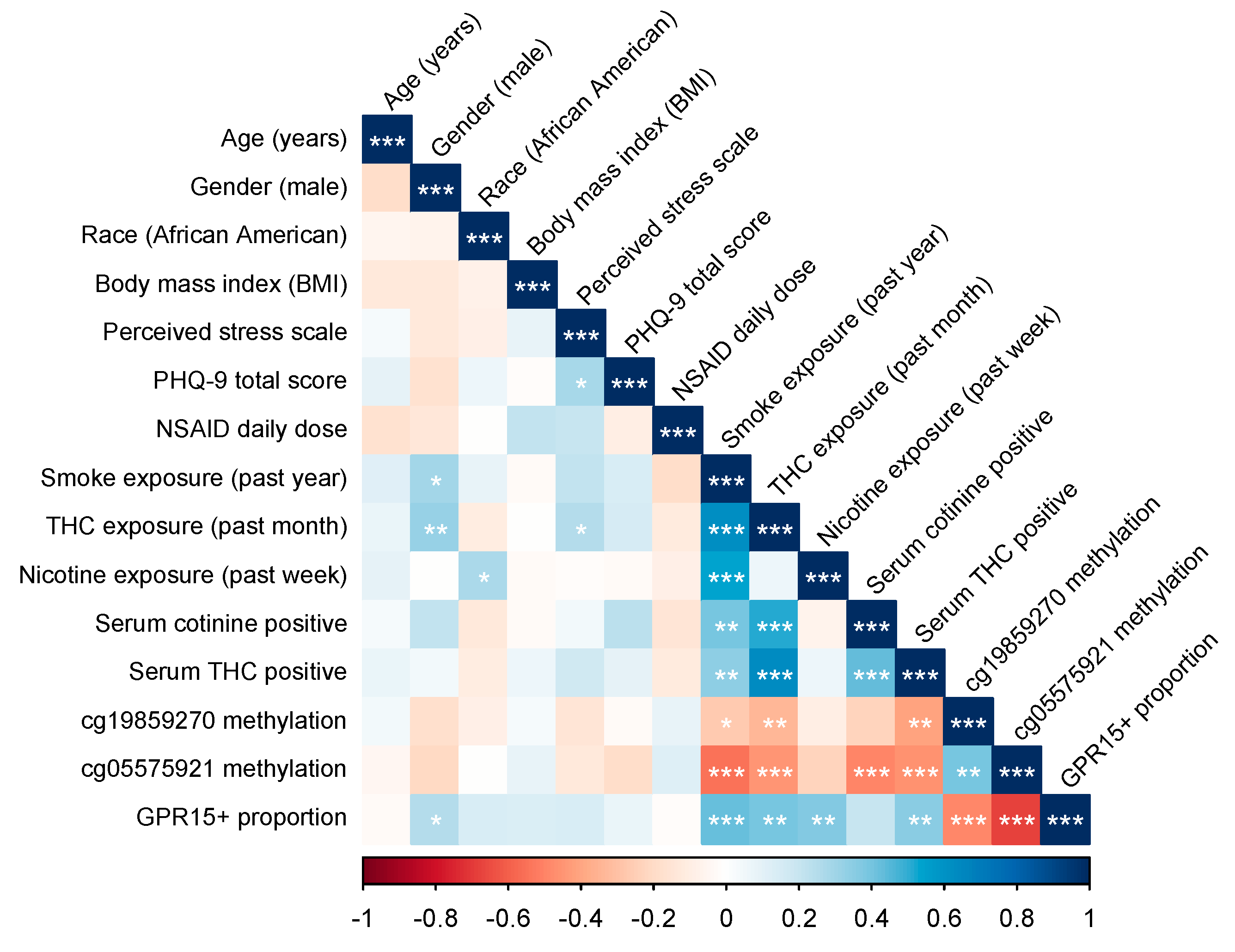 Genes 11 00149 g001