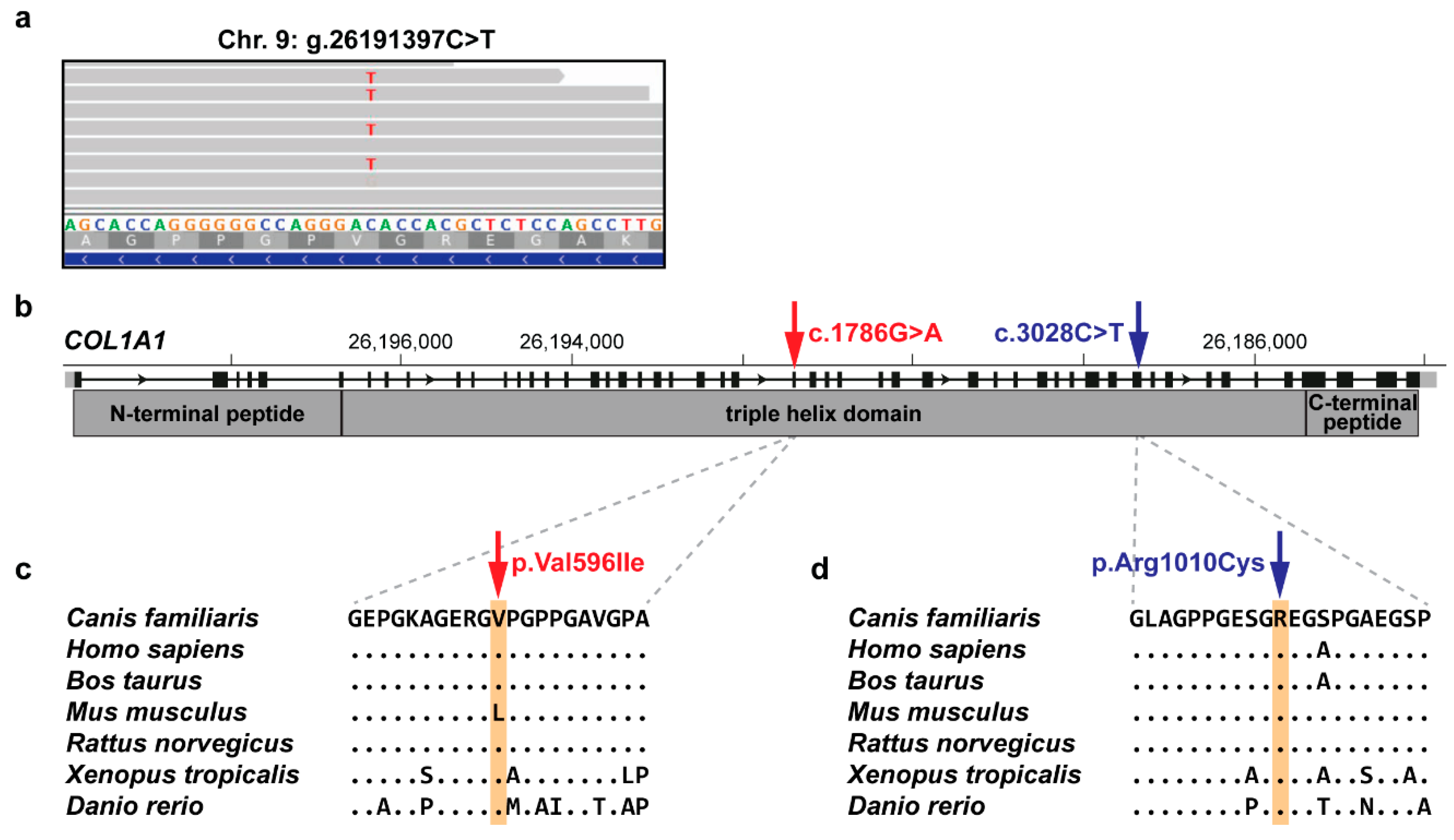 Genes 11 00163 g002 Genes 11 00163 g002