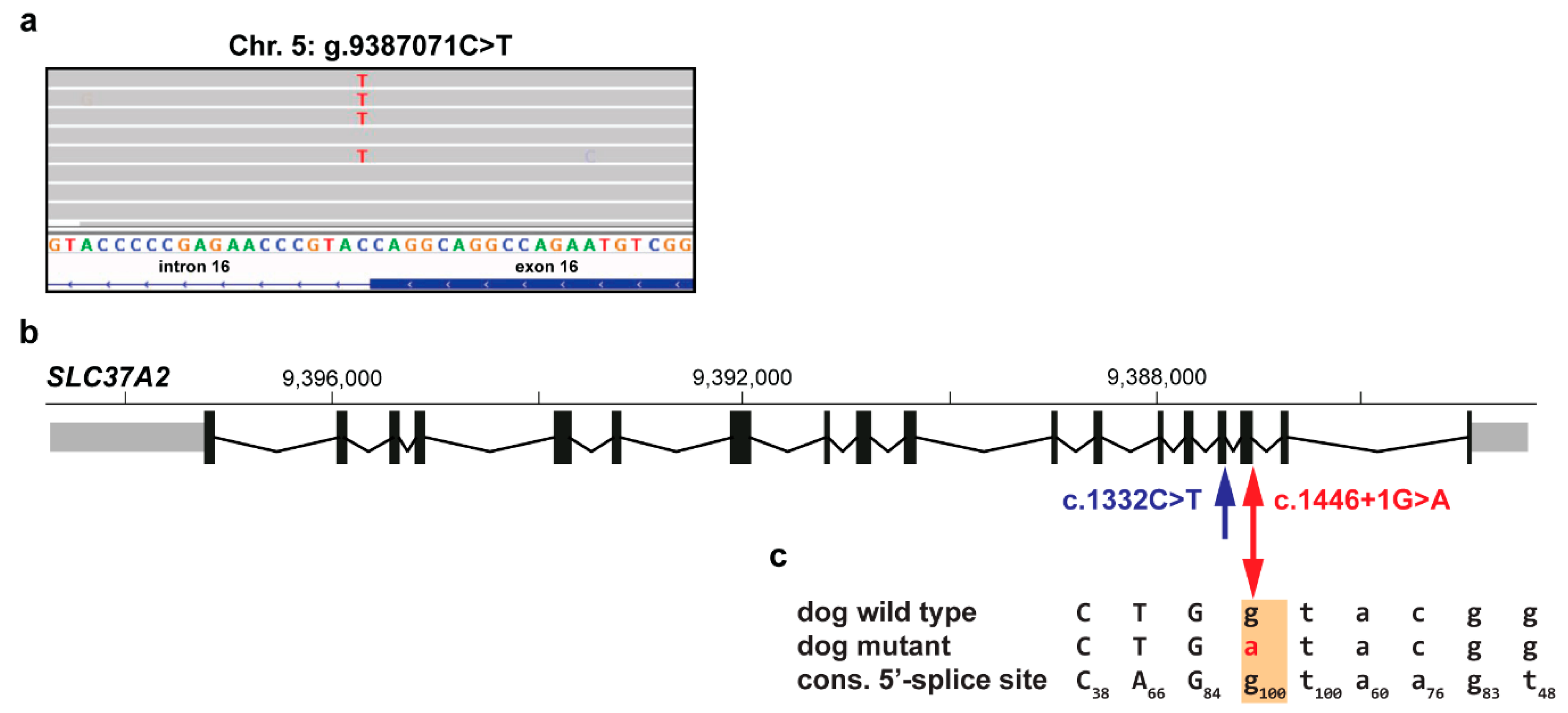 Genes 11 00163 g003 Genes 11 00163 g003