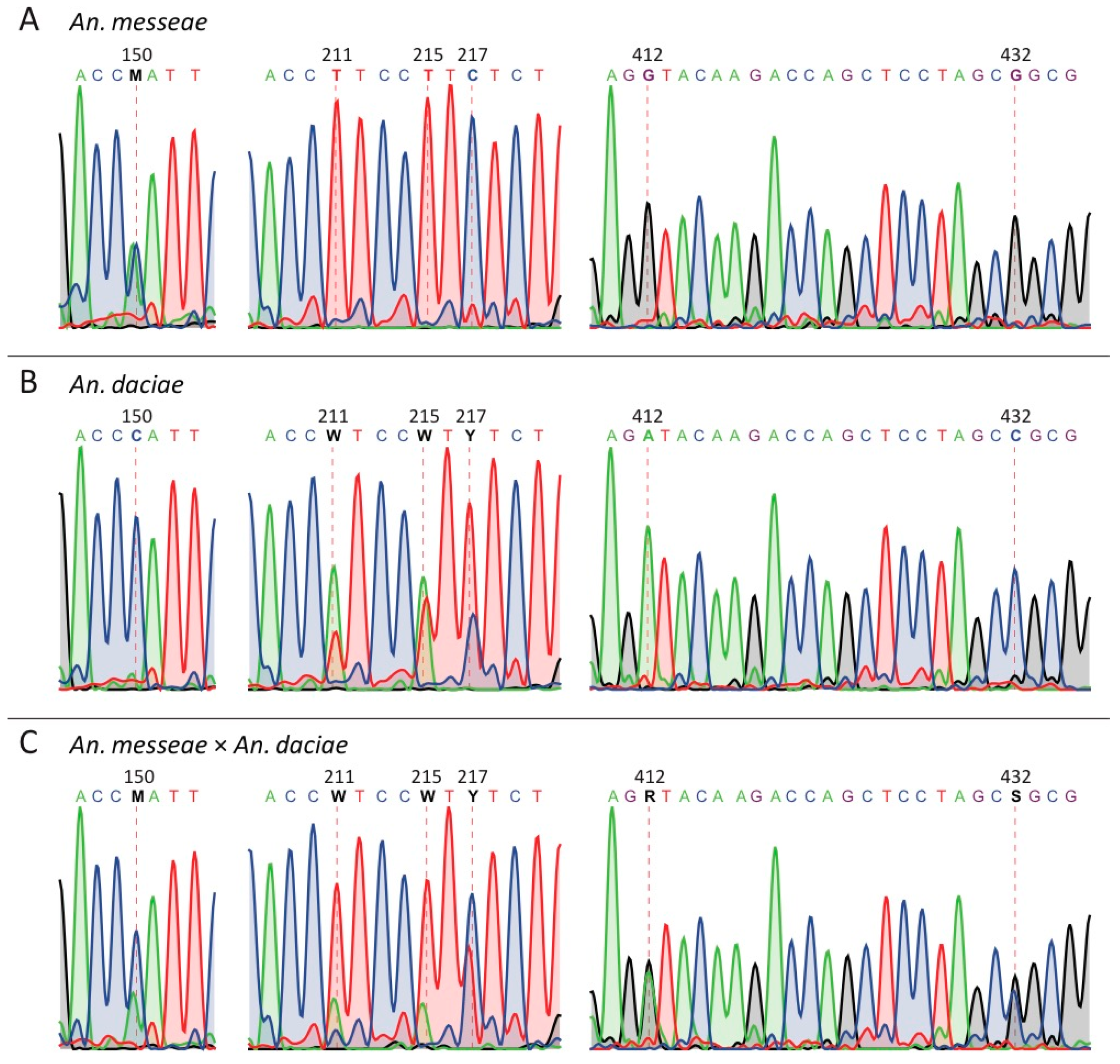 Genes 11 00165 g002