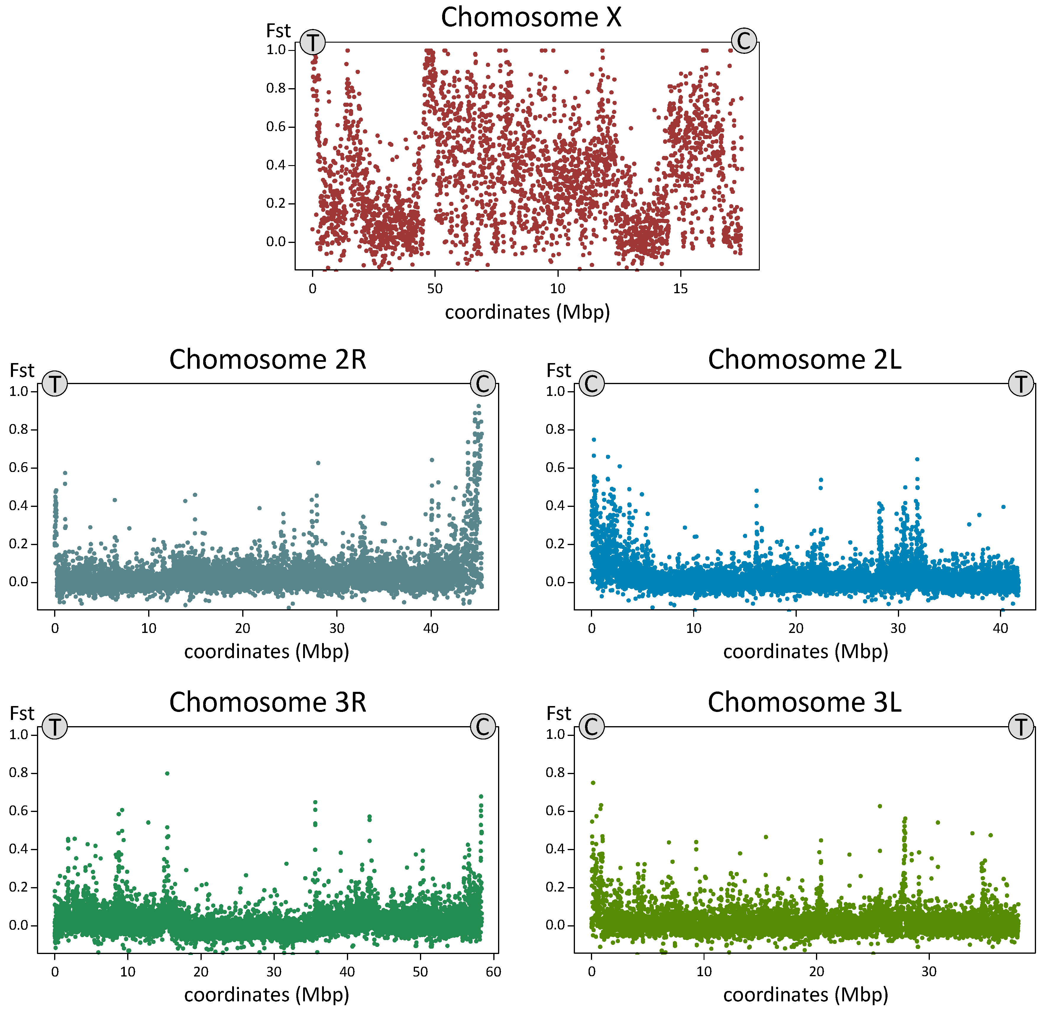 Genes 11 00165 g007