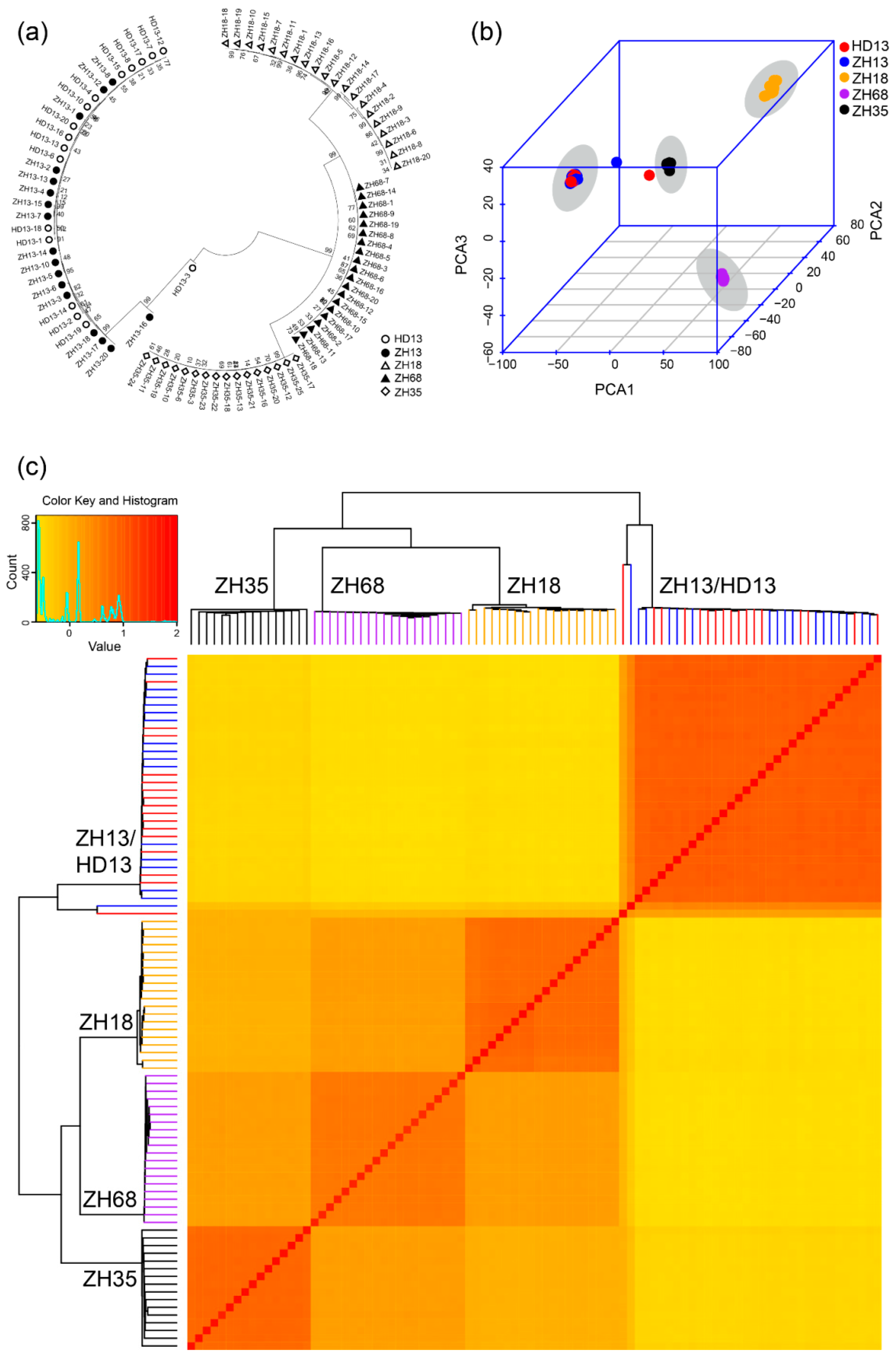 Genes 11 00175 g002