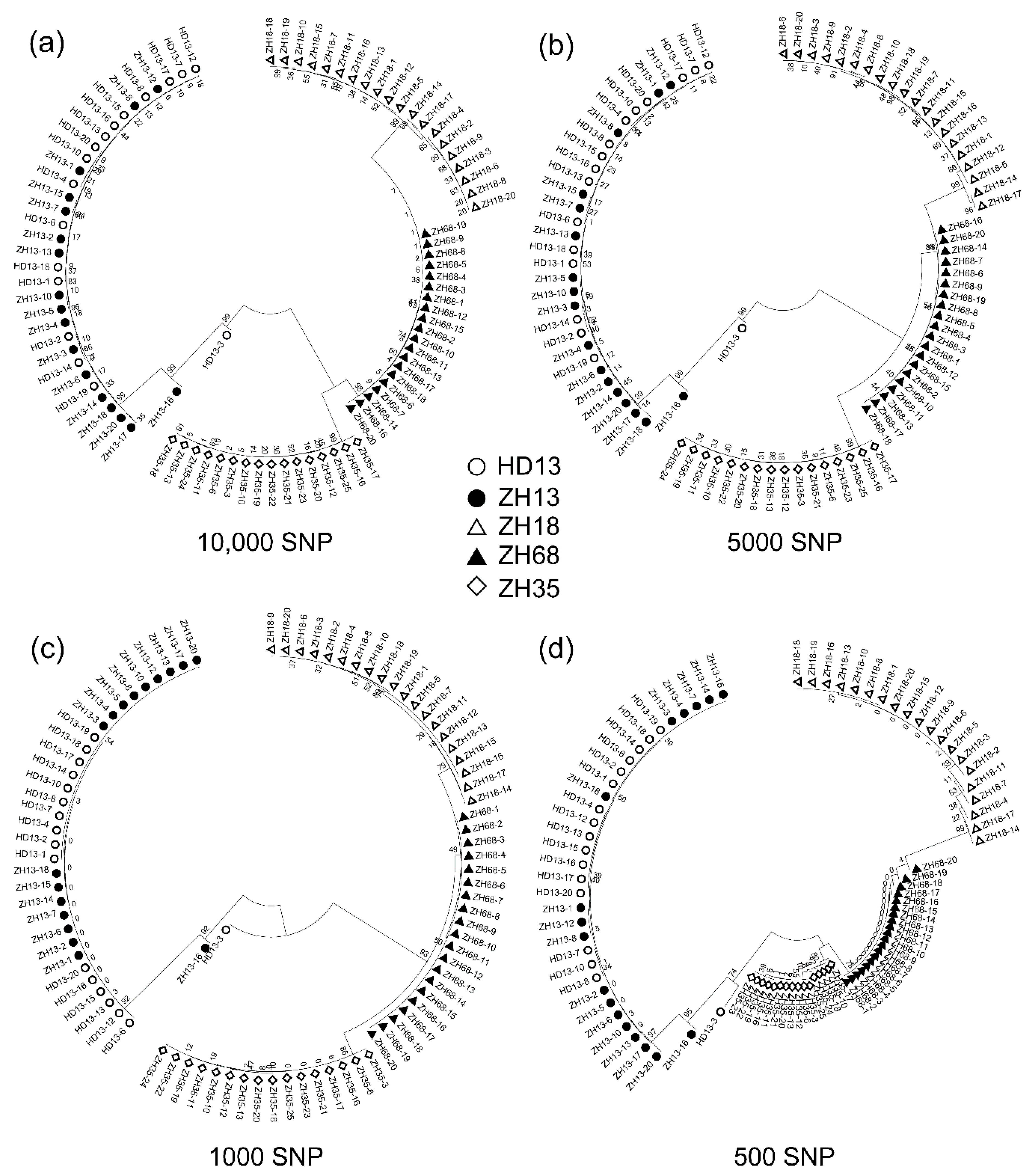 Genes 11 00175 g004