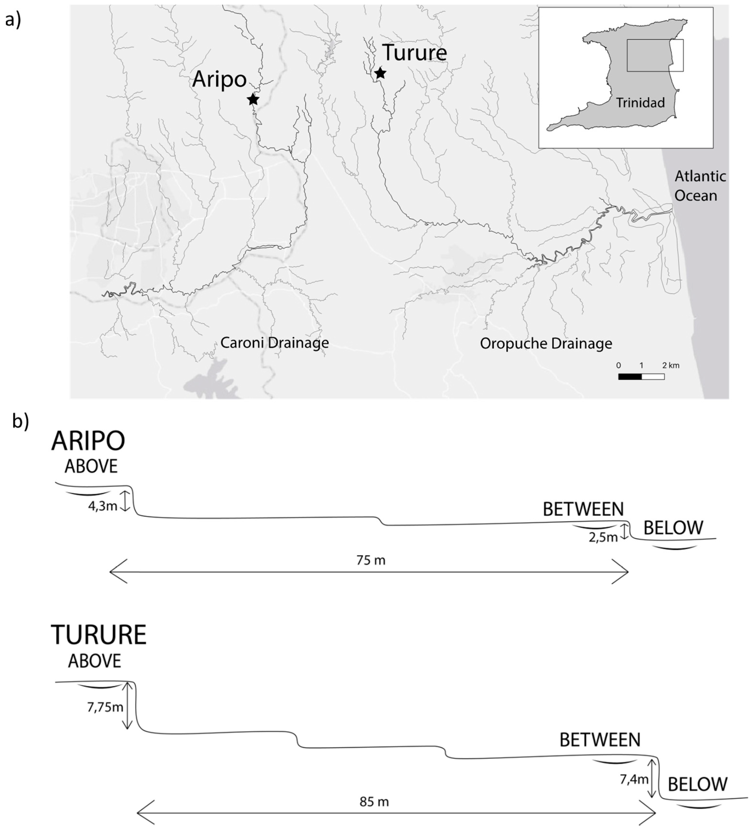 Genes 11 00180 g001 Genes 11 00180 g001