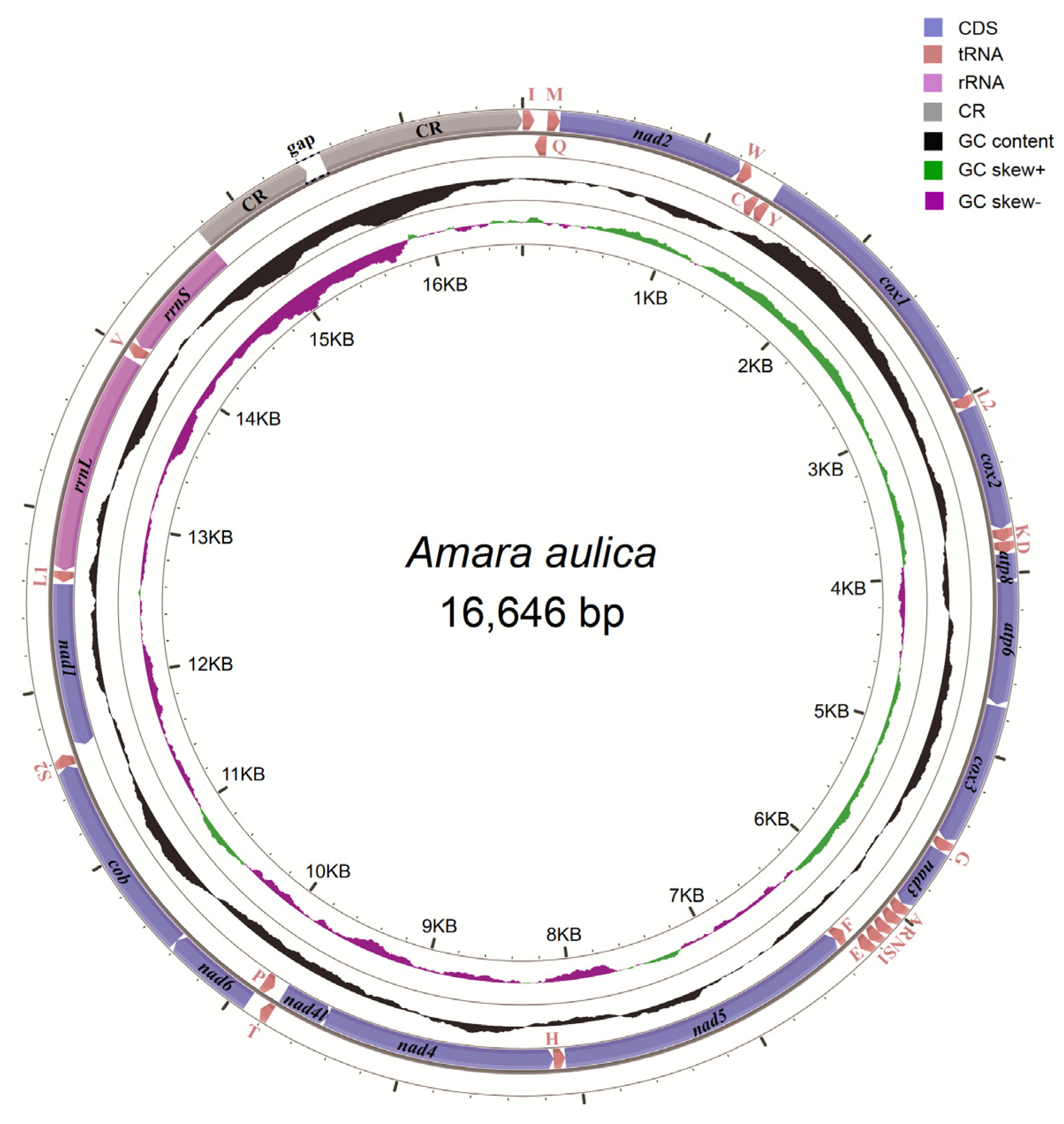 Genes 11 00181 g001