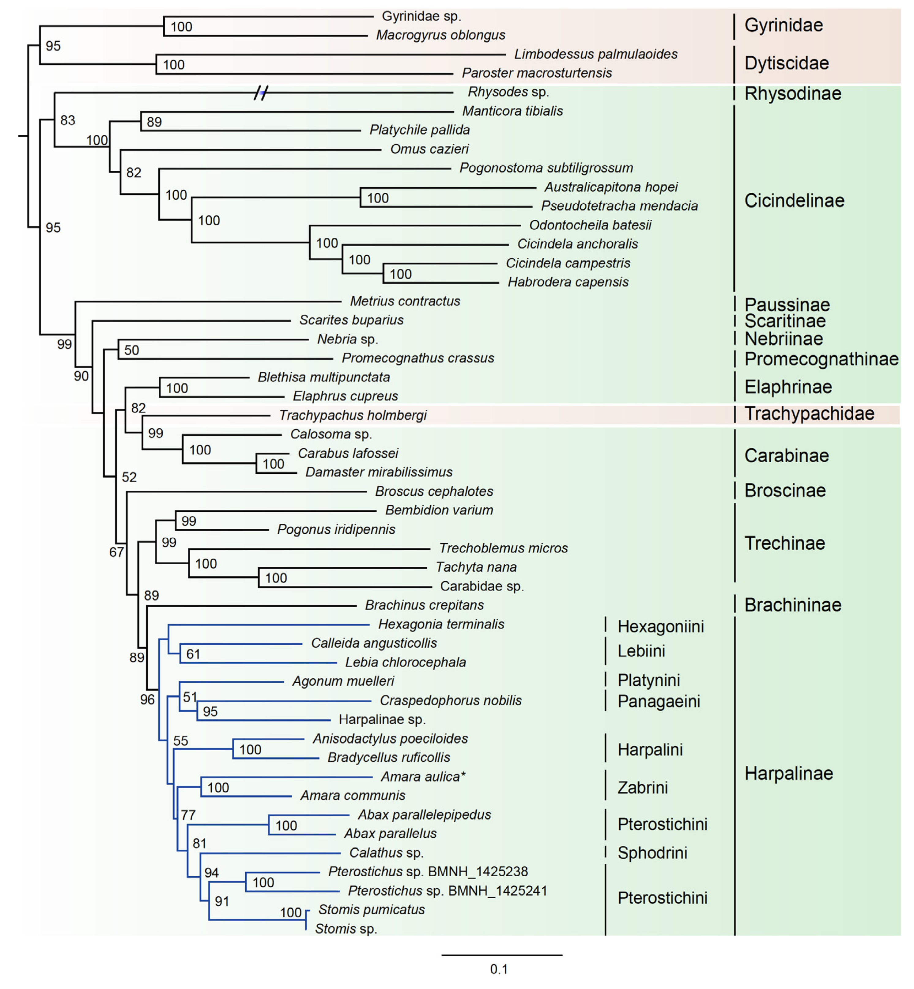 Genes 11 00181 g002