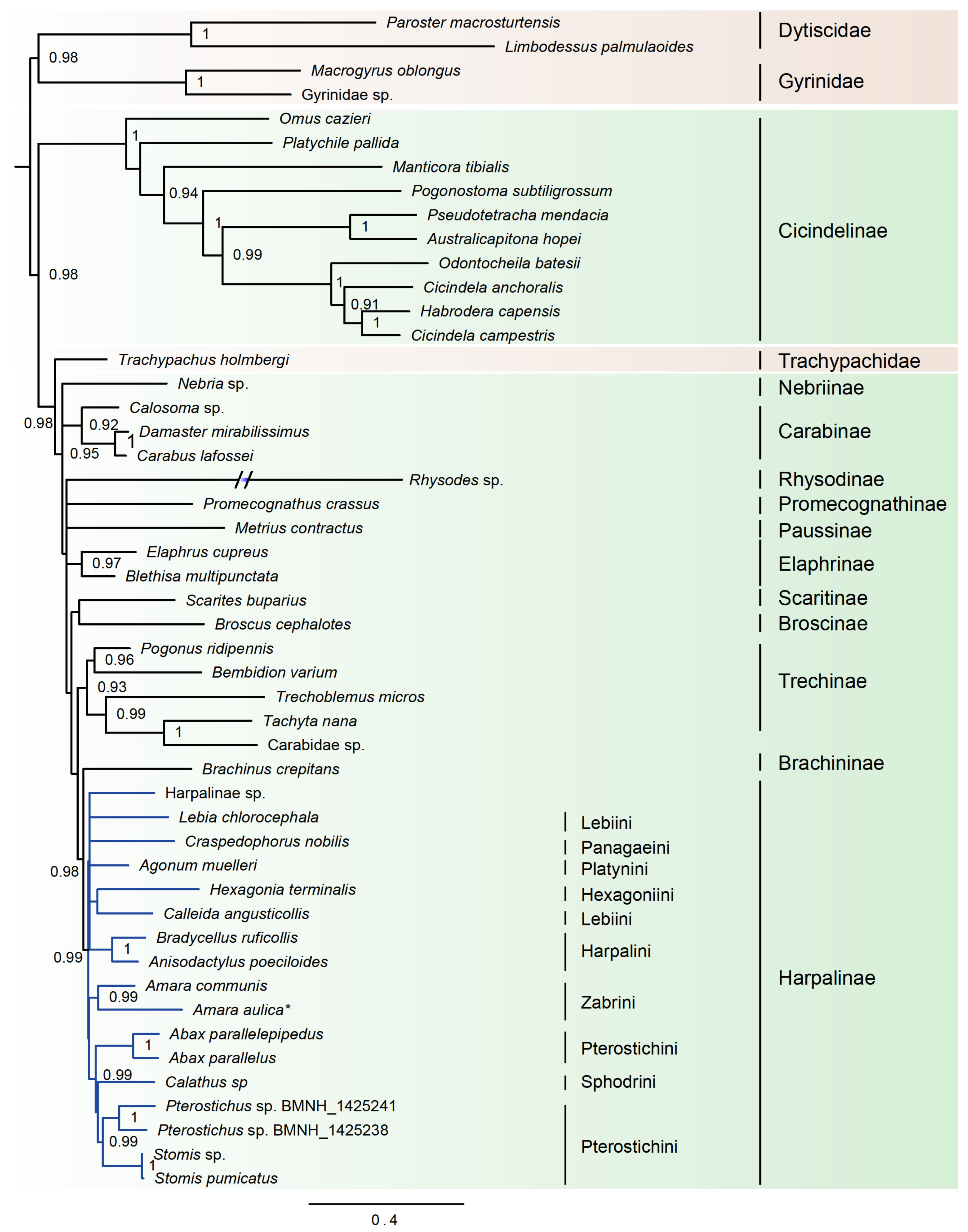 Genes 11 00181 g003