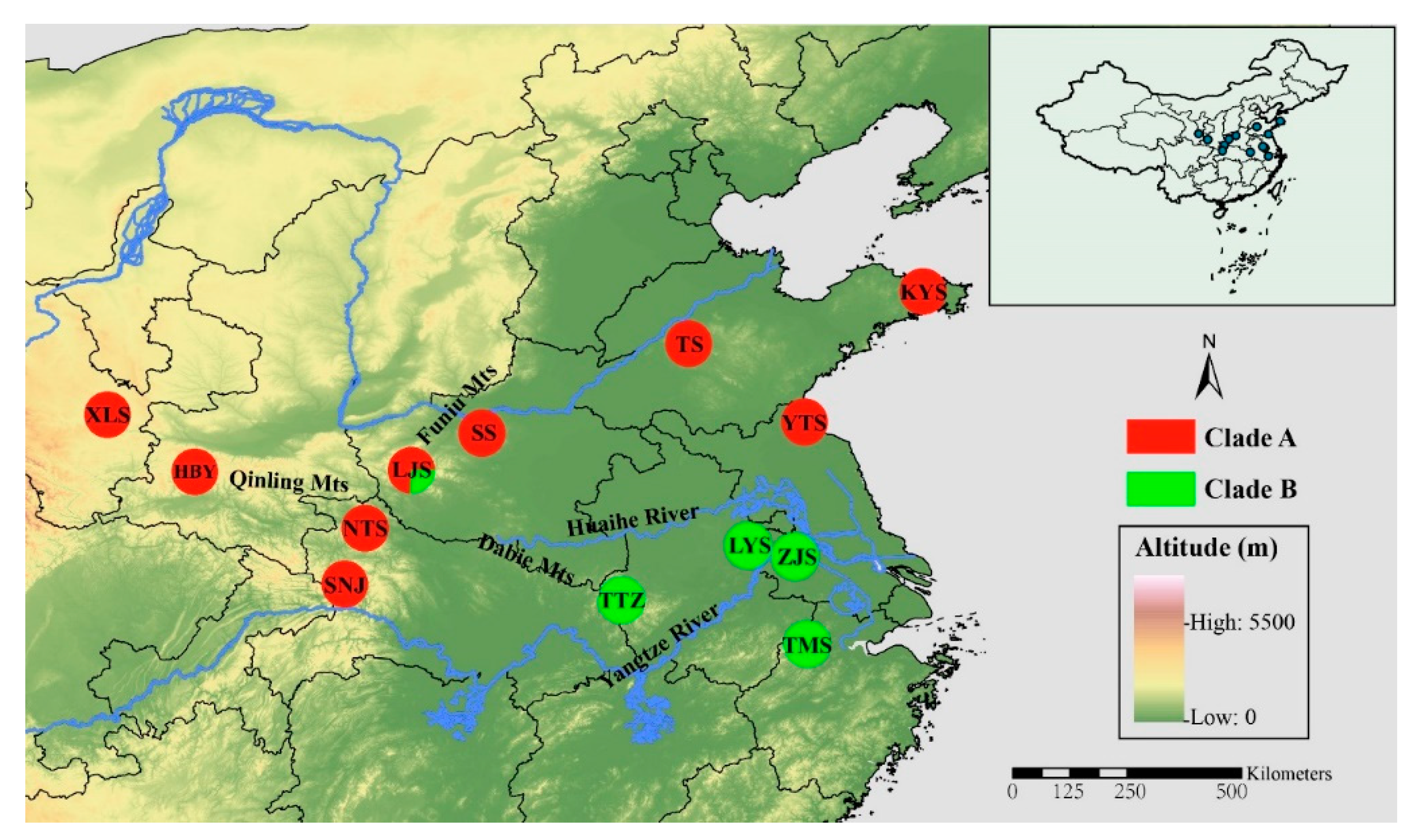 Genes 11 00188 g001 Genes 11 00188 g001