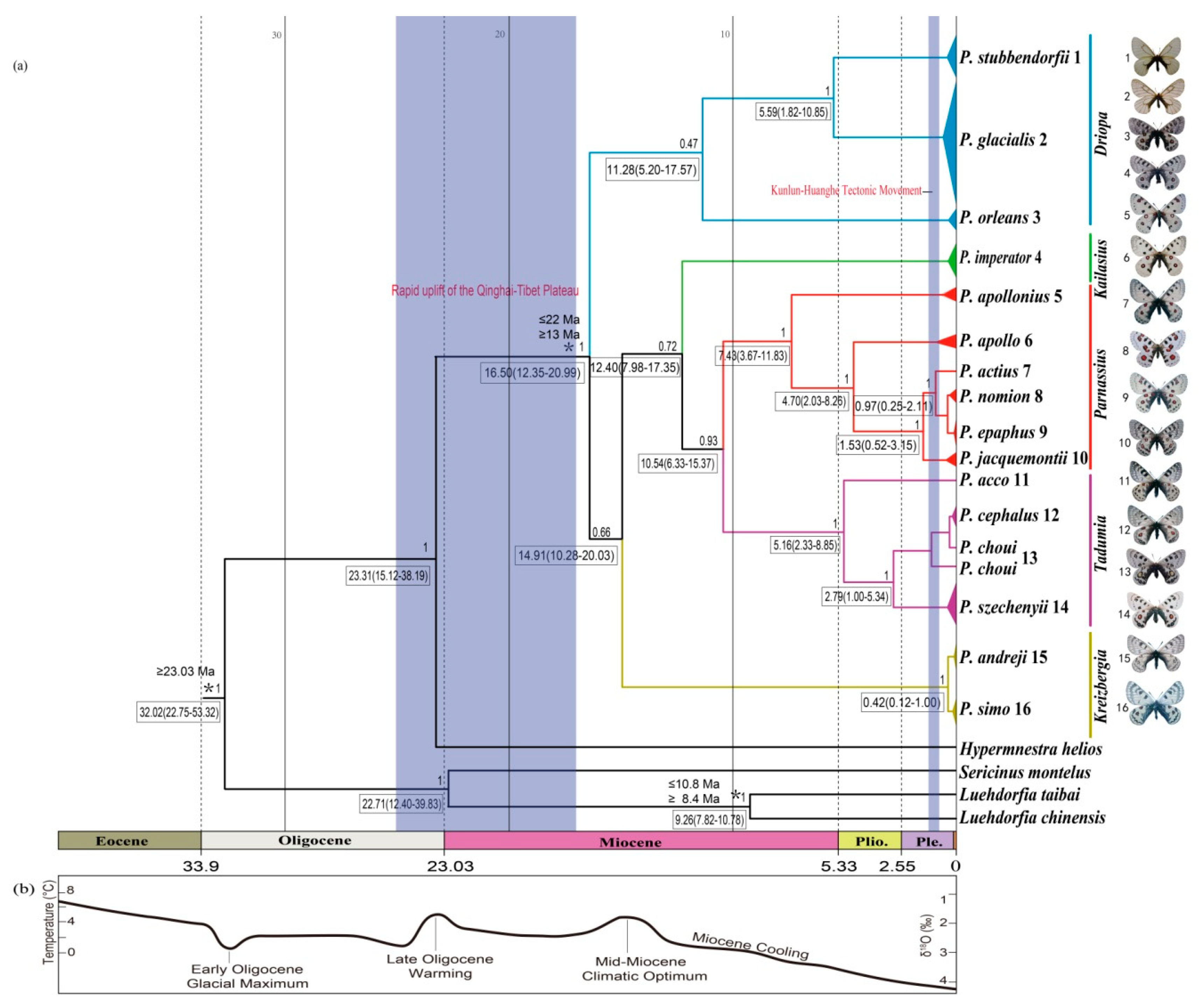 Genes 11 00188 g002 Genes 11 00188 g002