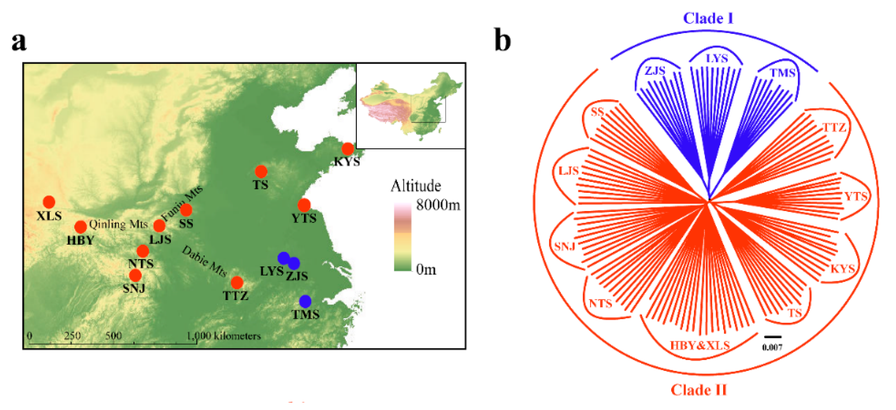 Genes 11 00188 g007a Genes 11 00188 g007a