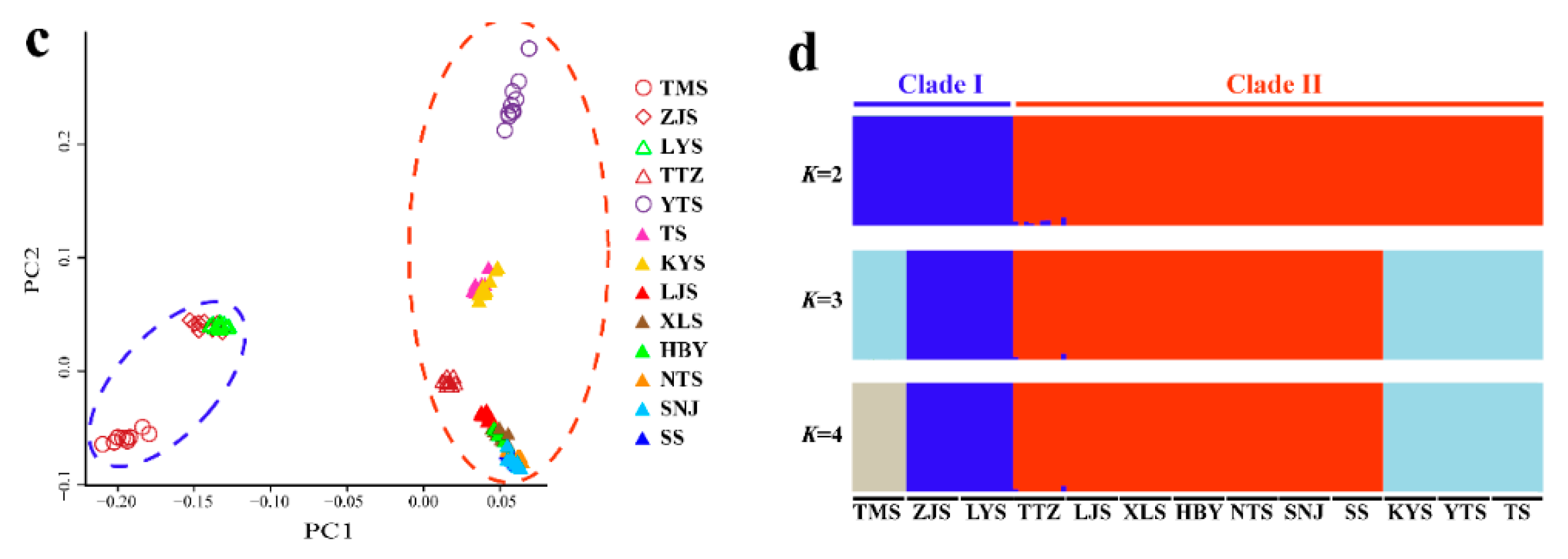 Genes 11 00188 g007b Genes 11 00188 g007b
