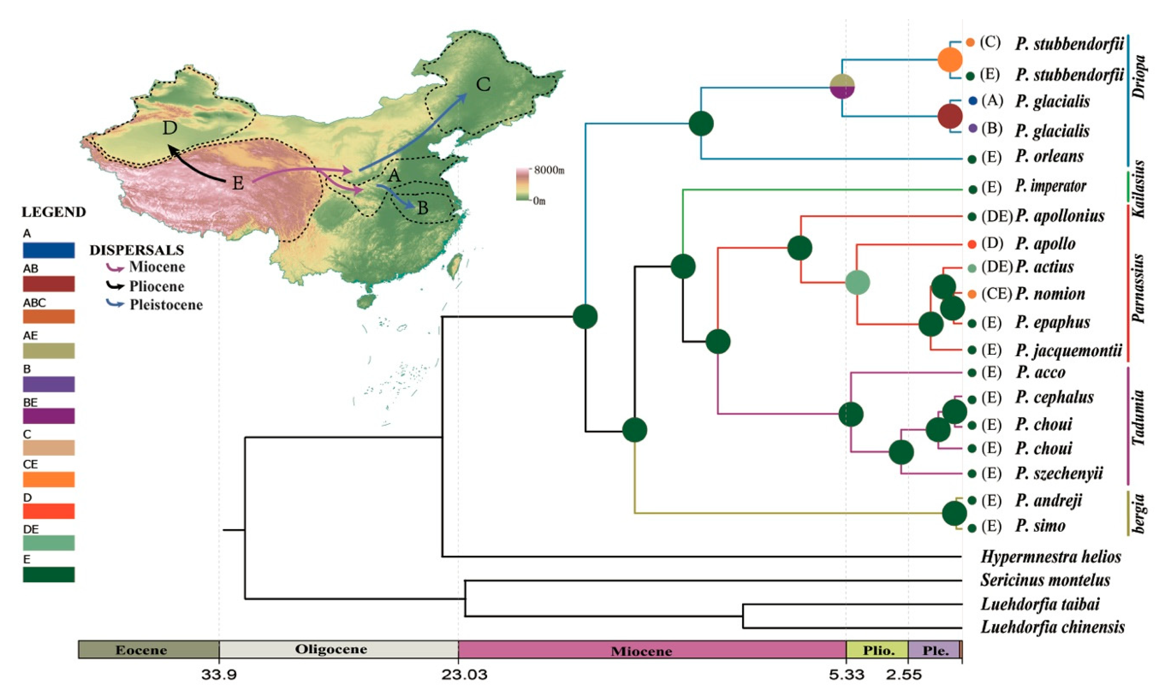 Genes 11 00188 g008 Genes 11 00188 g008