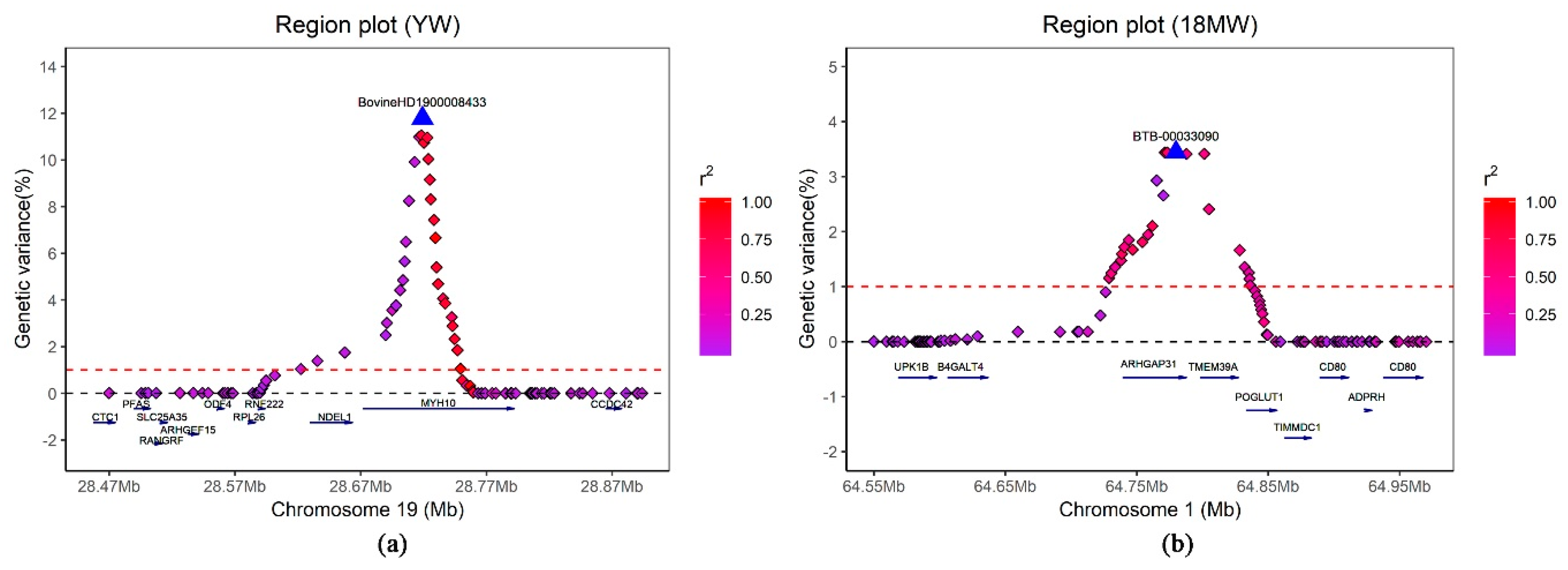 Genes 11 00189 g002