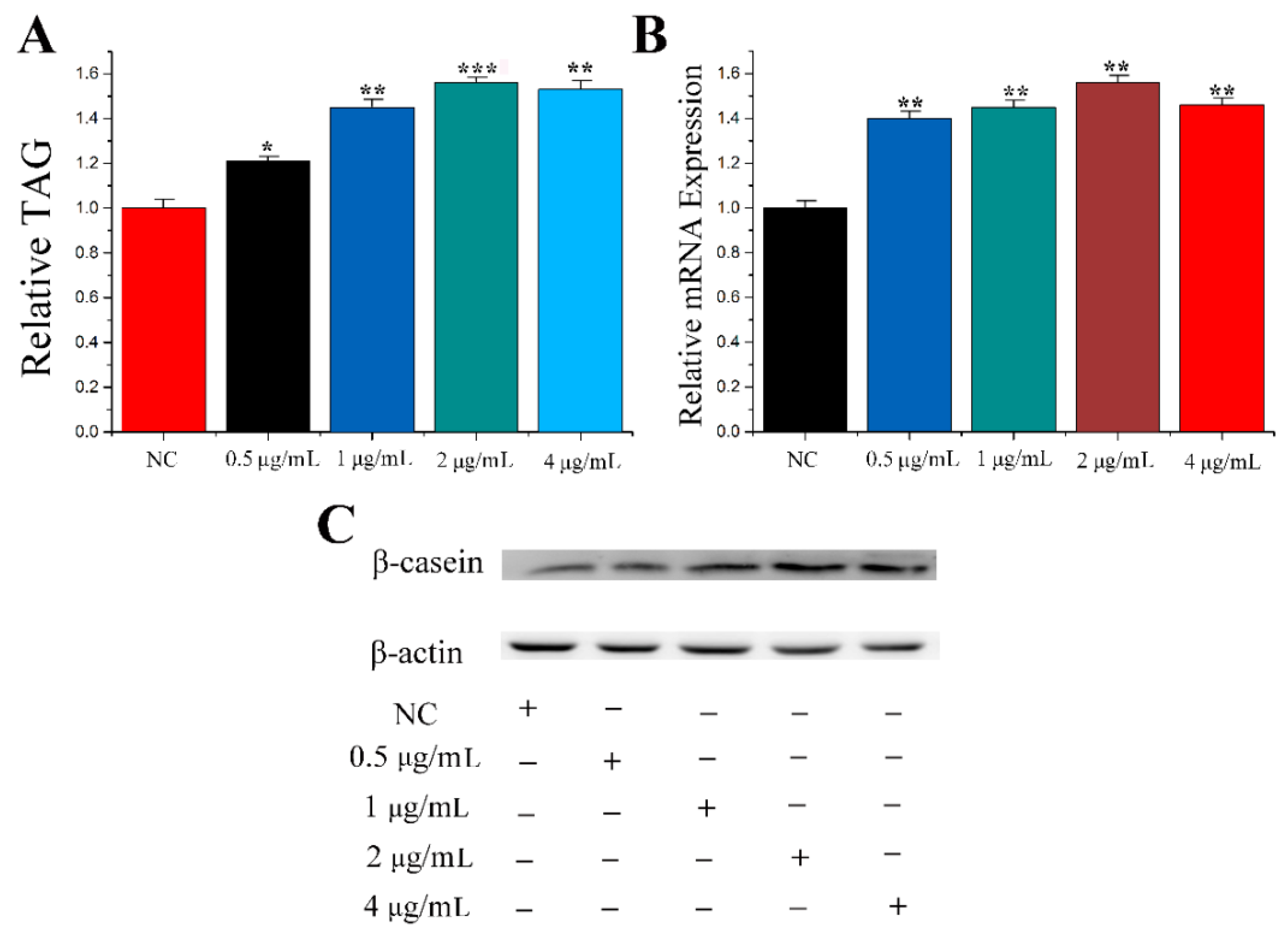Genes 11 00196 g001