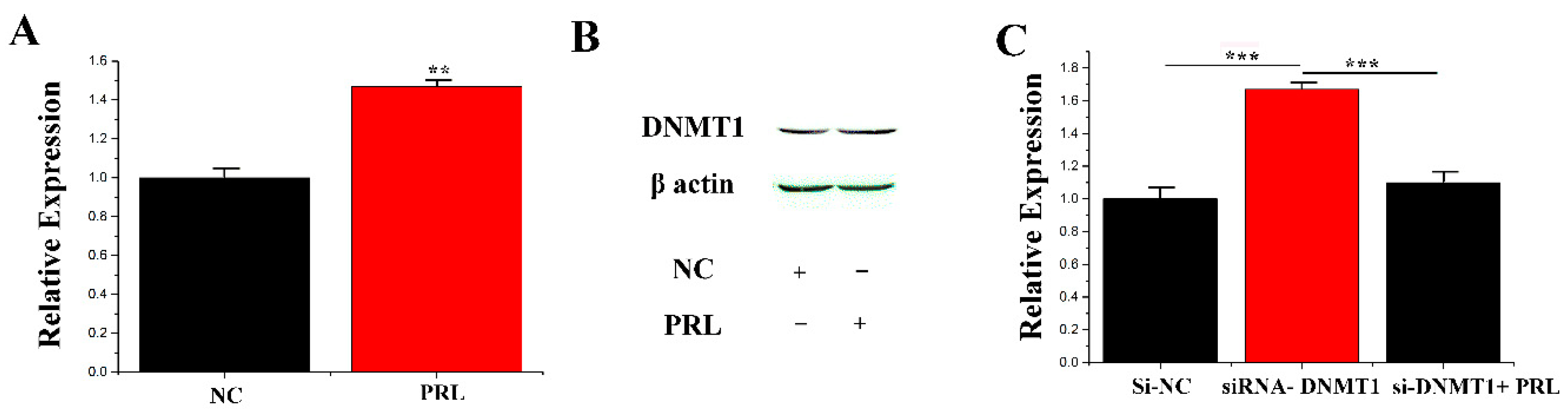 Genes 11 00196 g003