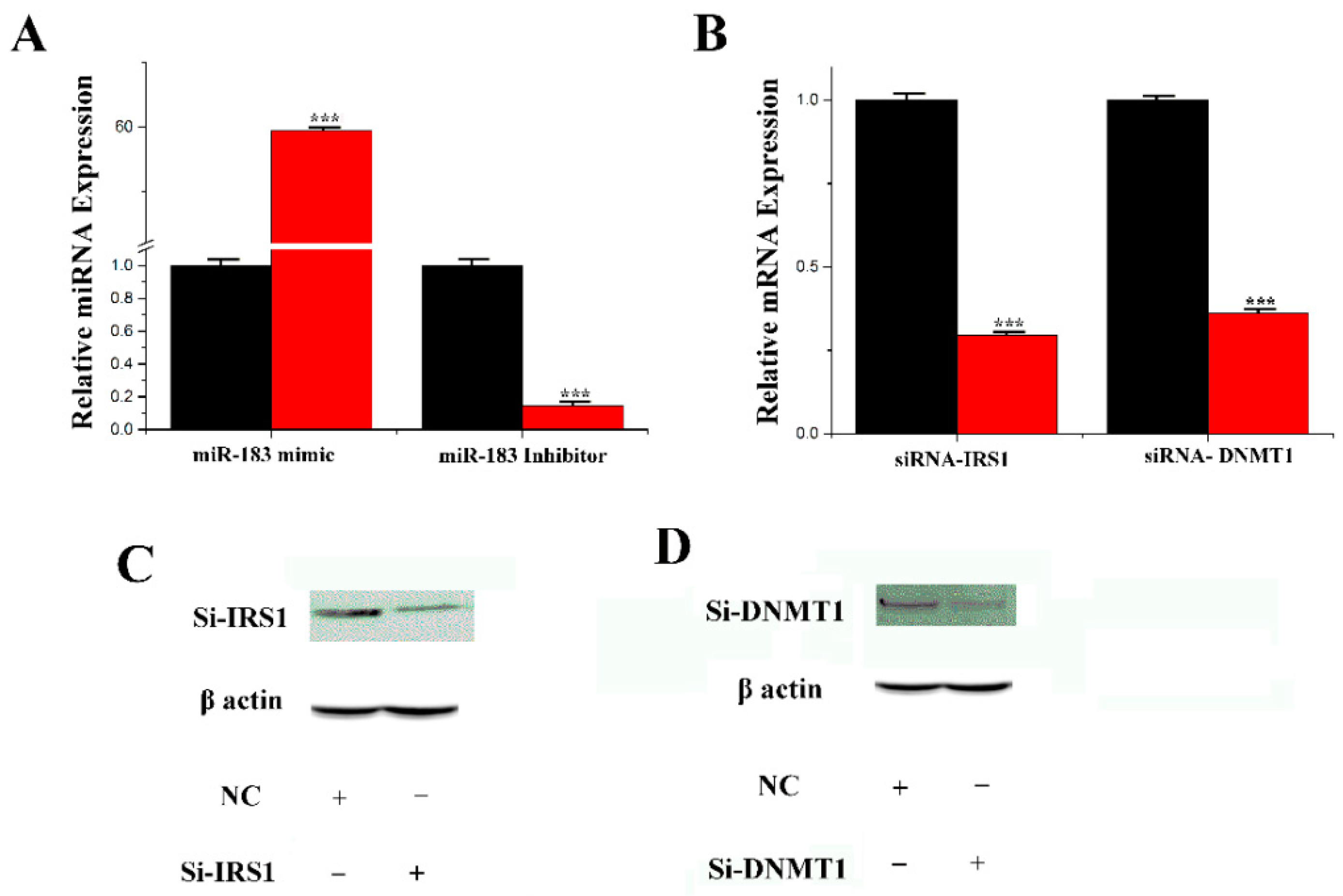Genes 11 00196 g004
