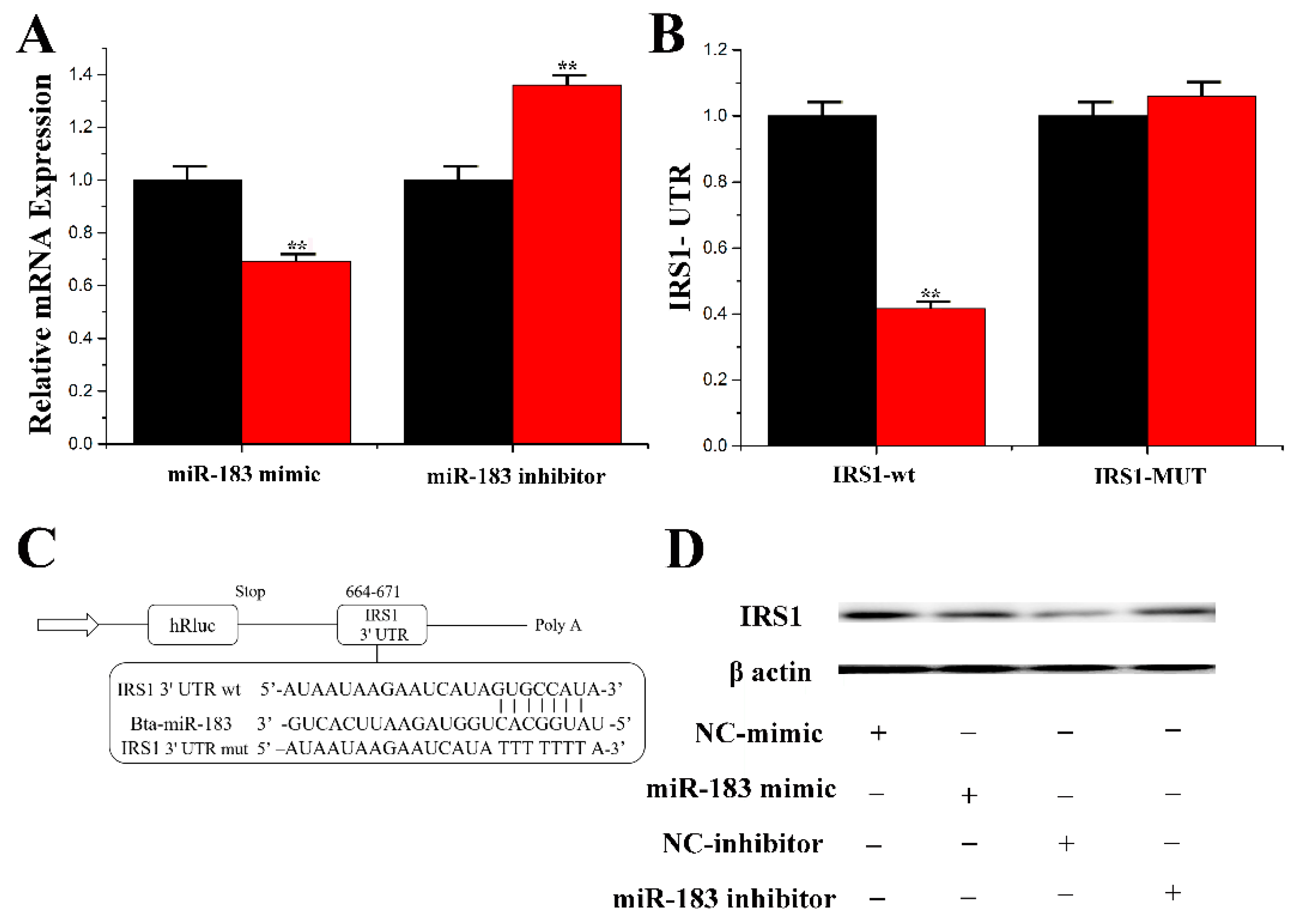 Genes 11 00196 g005