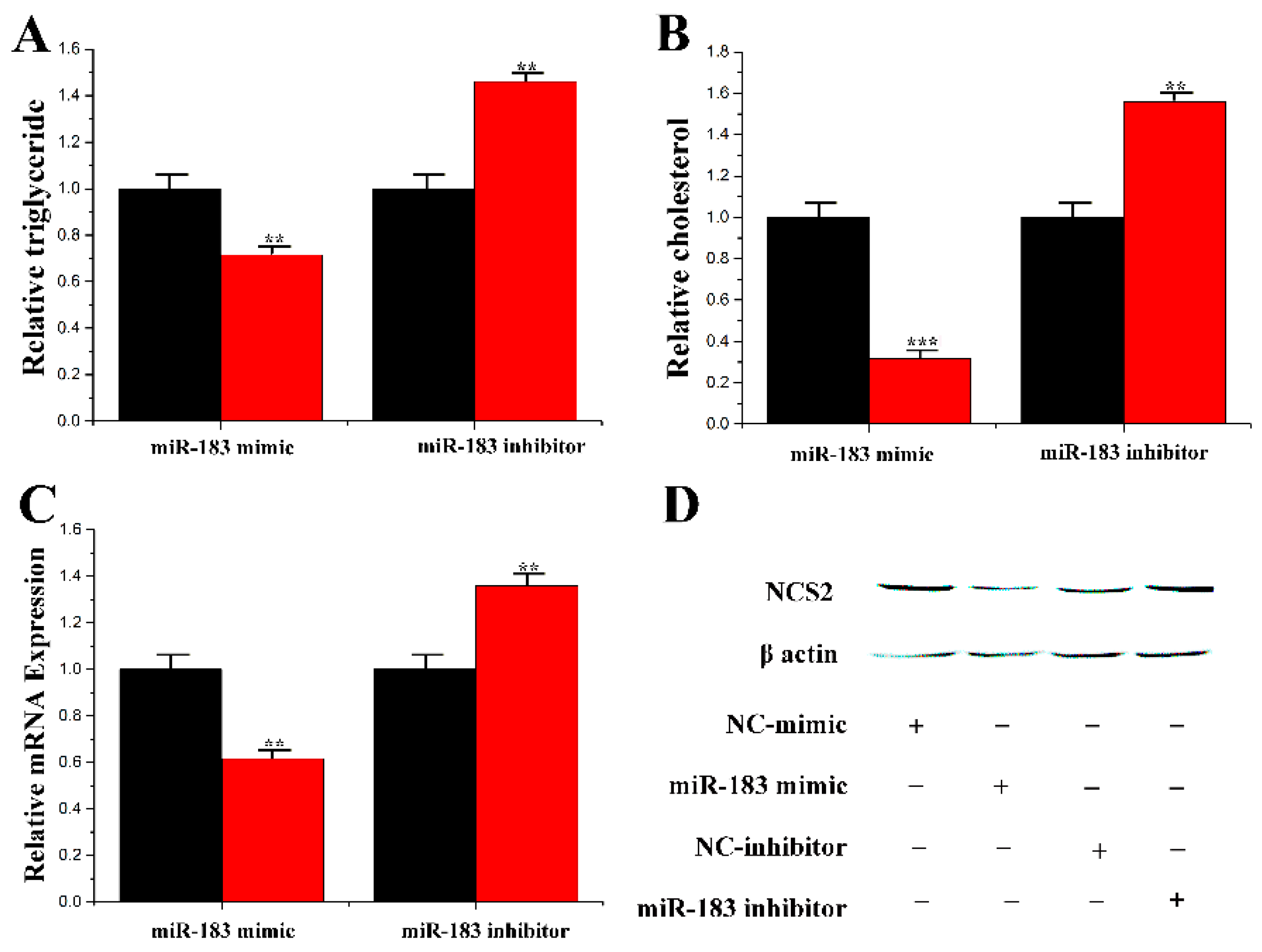 Genes 11 00196 g007