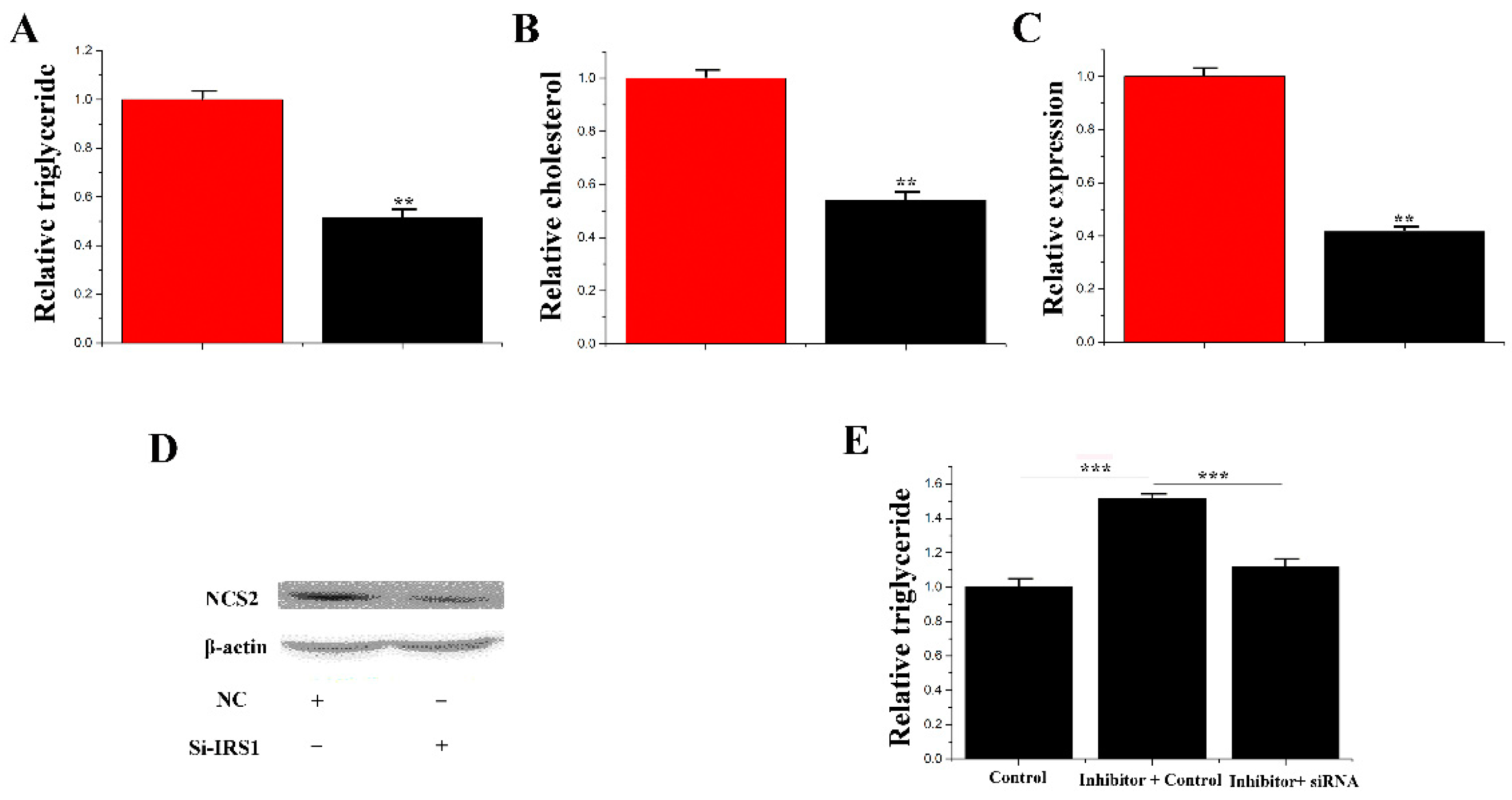 Genes 11 00196 g009