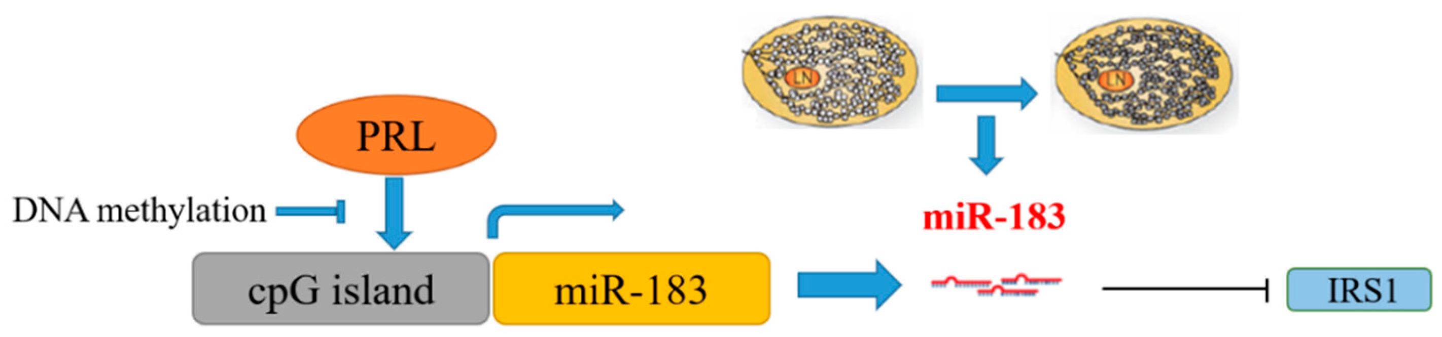 Genes 11 00196 g010