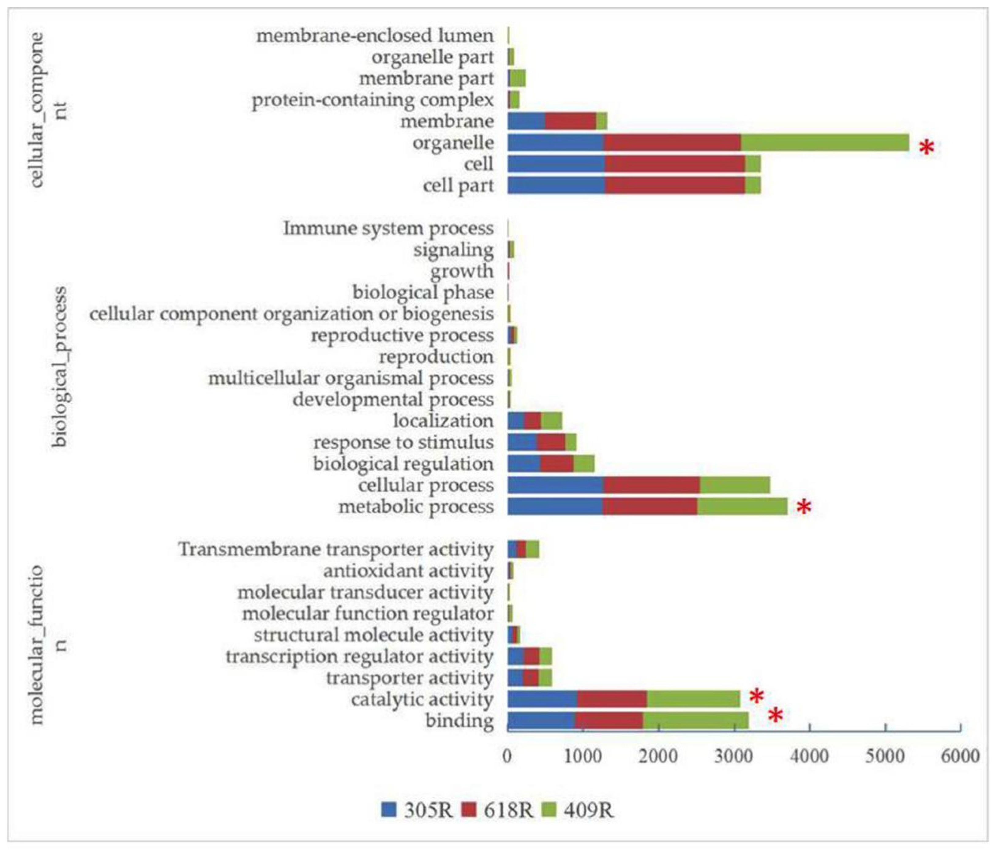 Genes 11 00202 g002 Genes 11 00202 g002