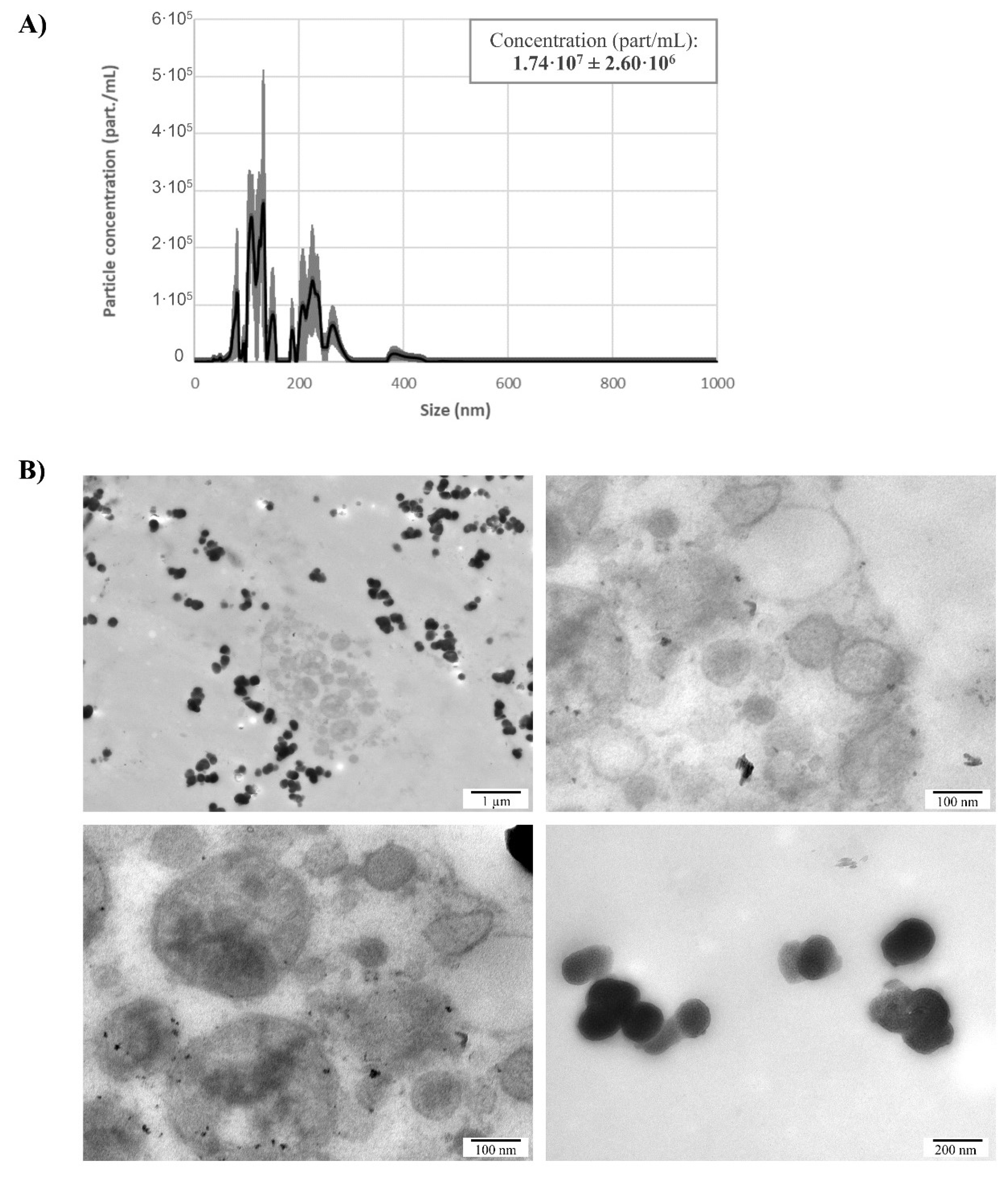 Genes 11 00203 g002 Genes 11 00203 g002