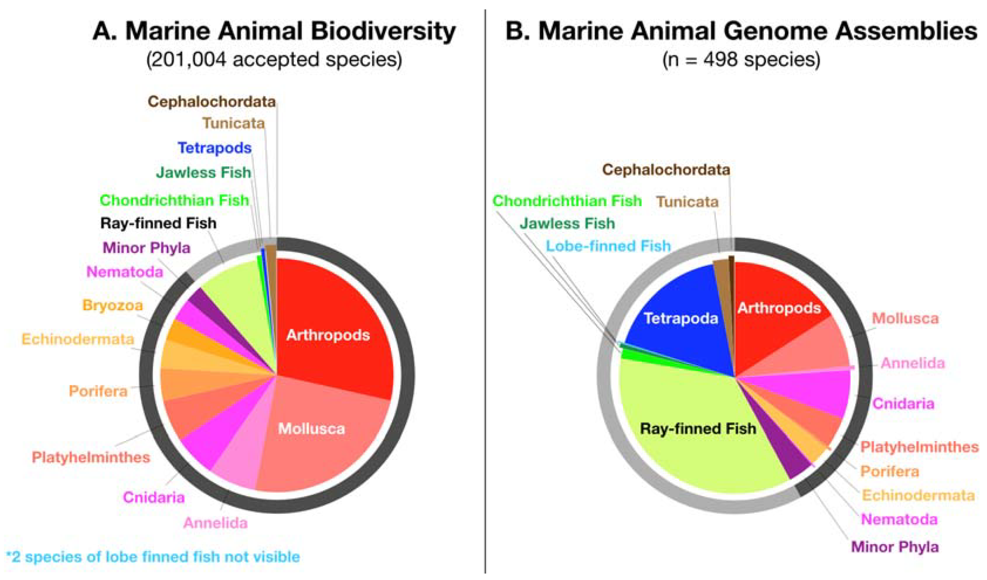 Genes 11 00209 g002 Genes 11 00209 g002