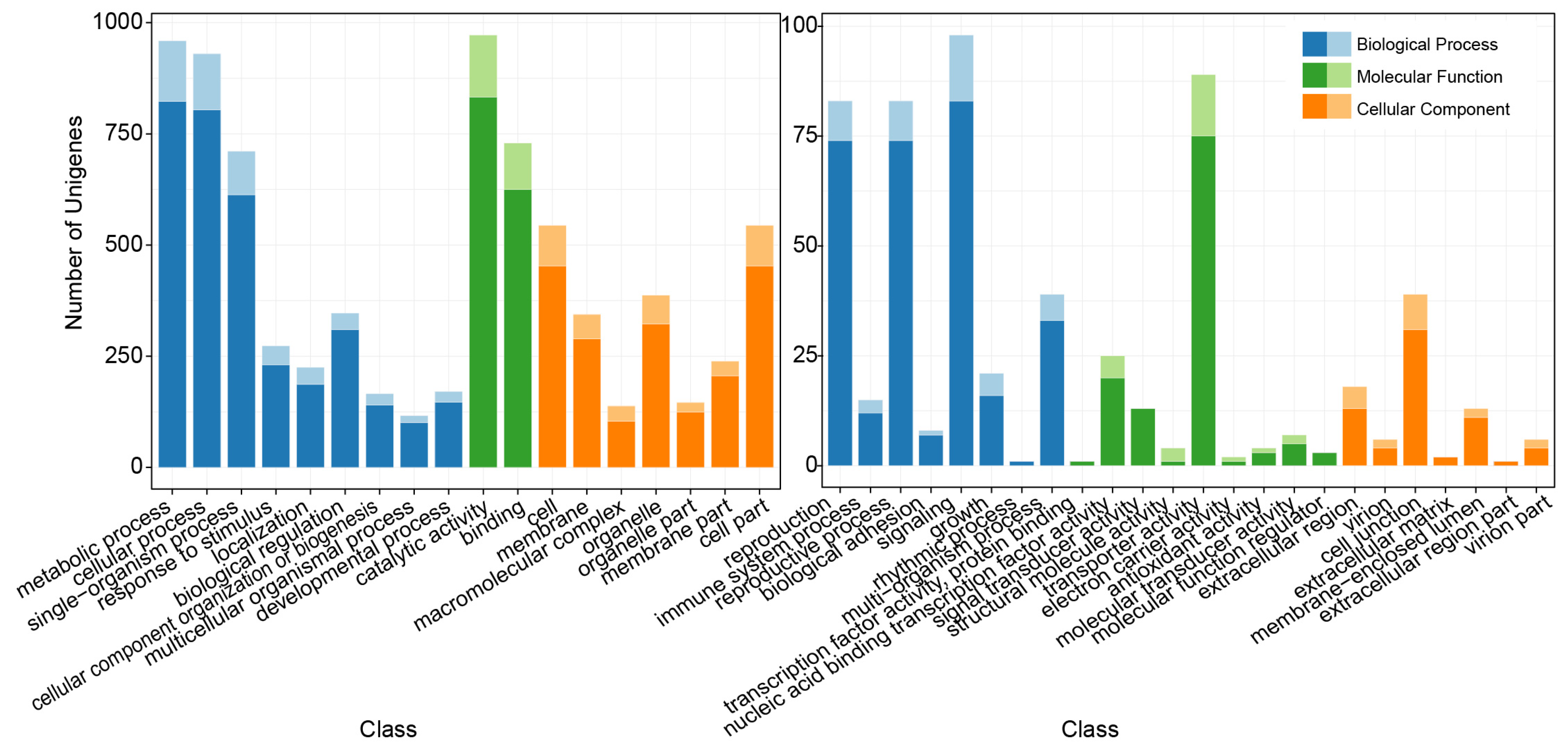 Genes 11 00214 g002 Genes 11 00214 g002