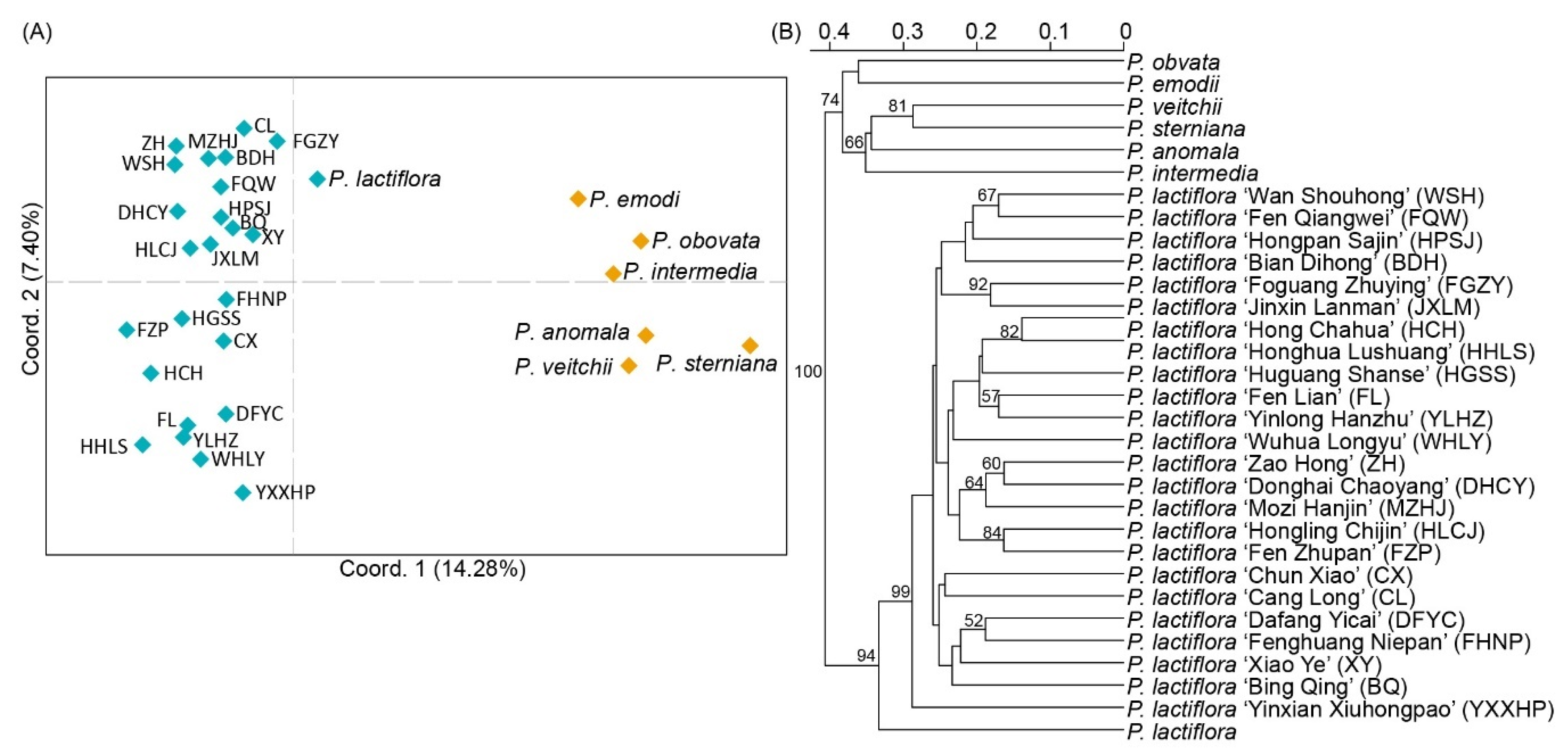Genes 11 00214 g004 Genes 11 00214 g004