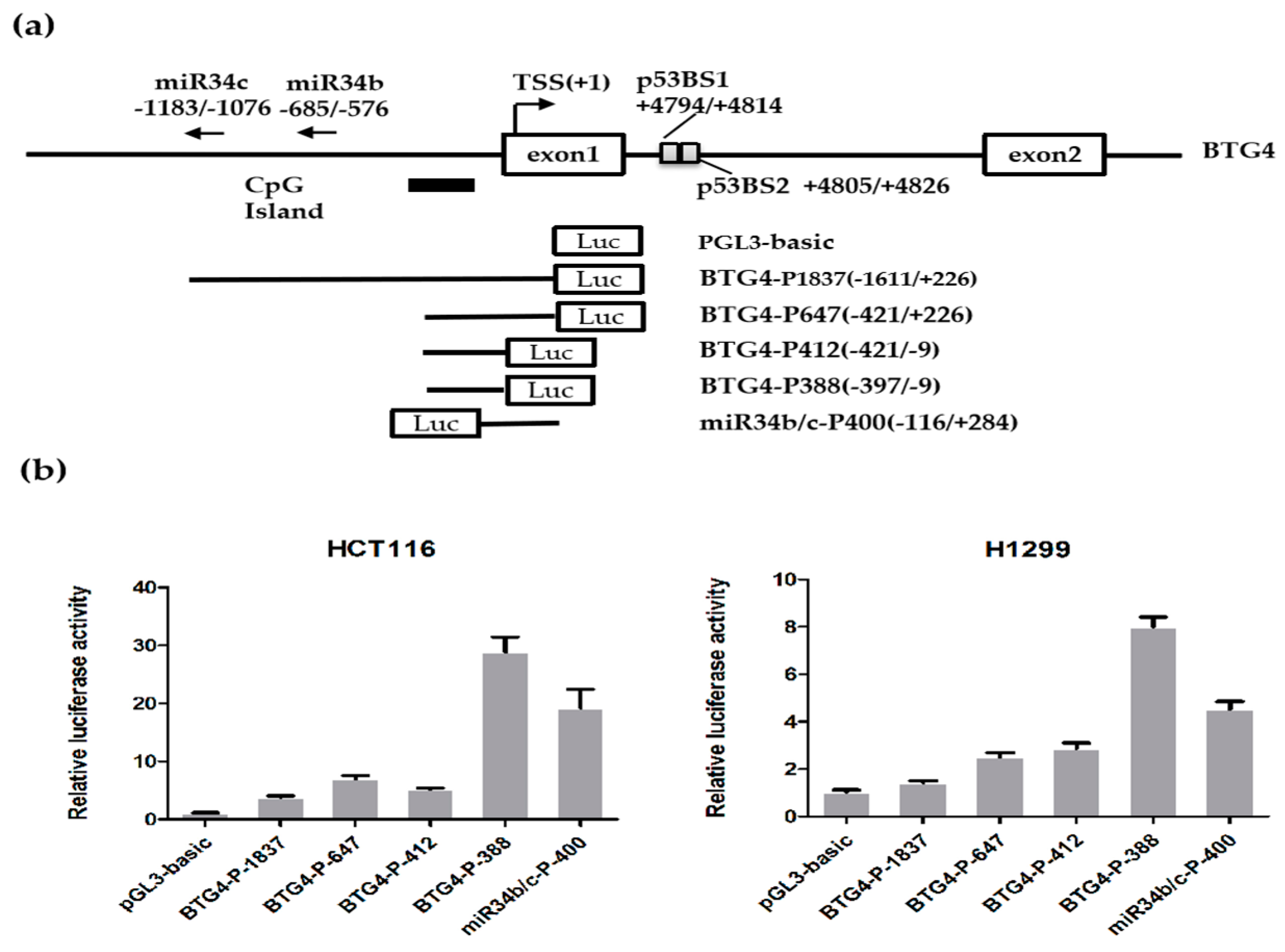 Genes 11 00217 g002