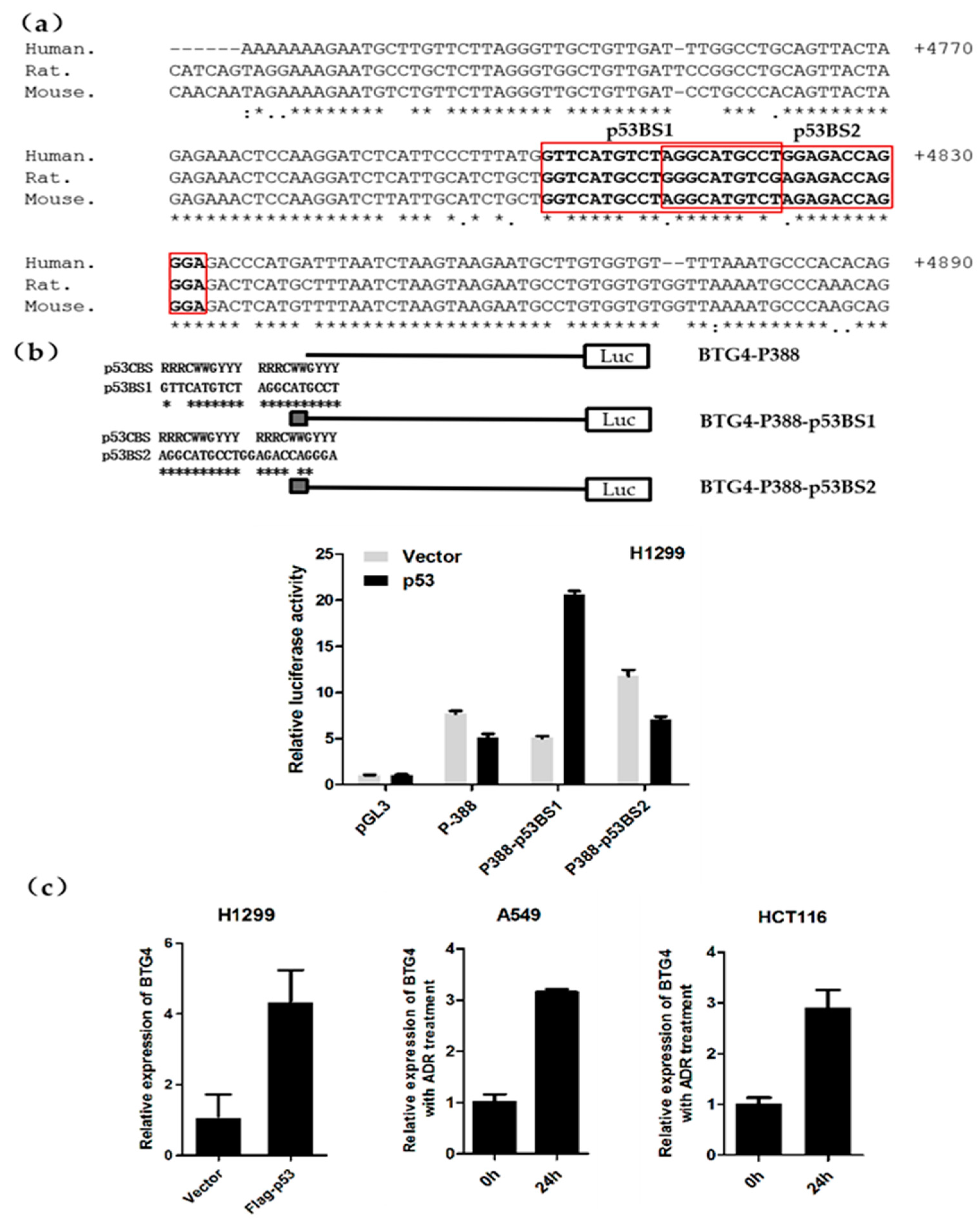 Genes 11 00217 g005