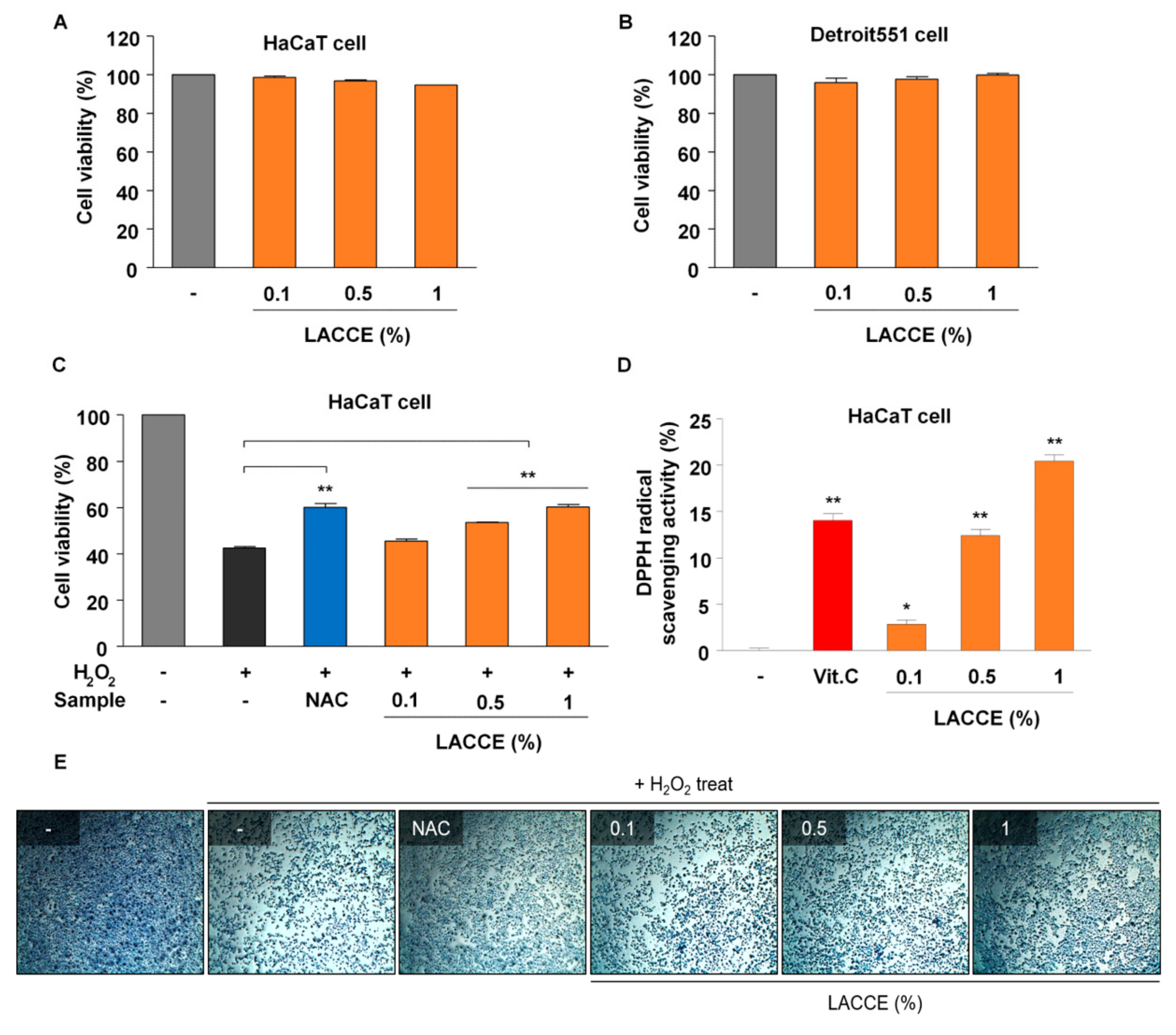 Genes 11 00230 g002