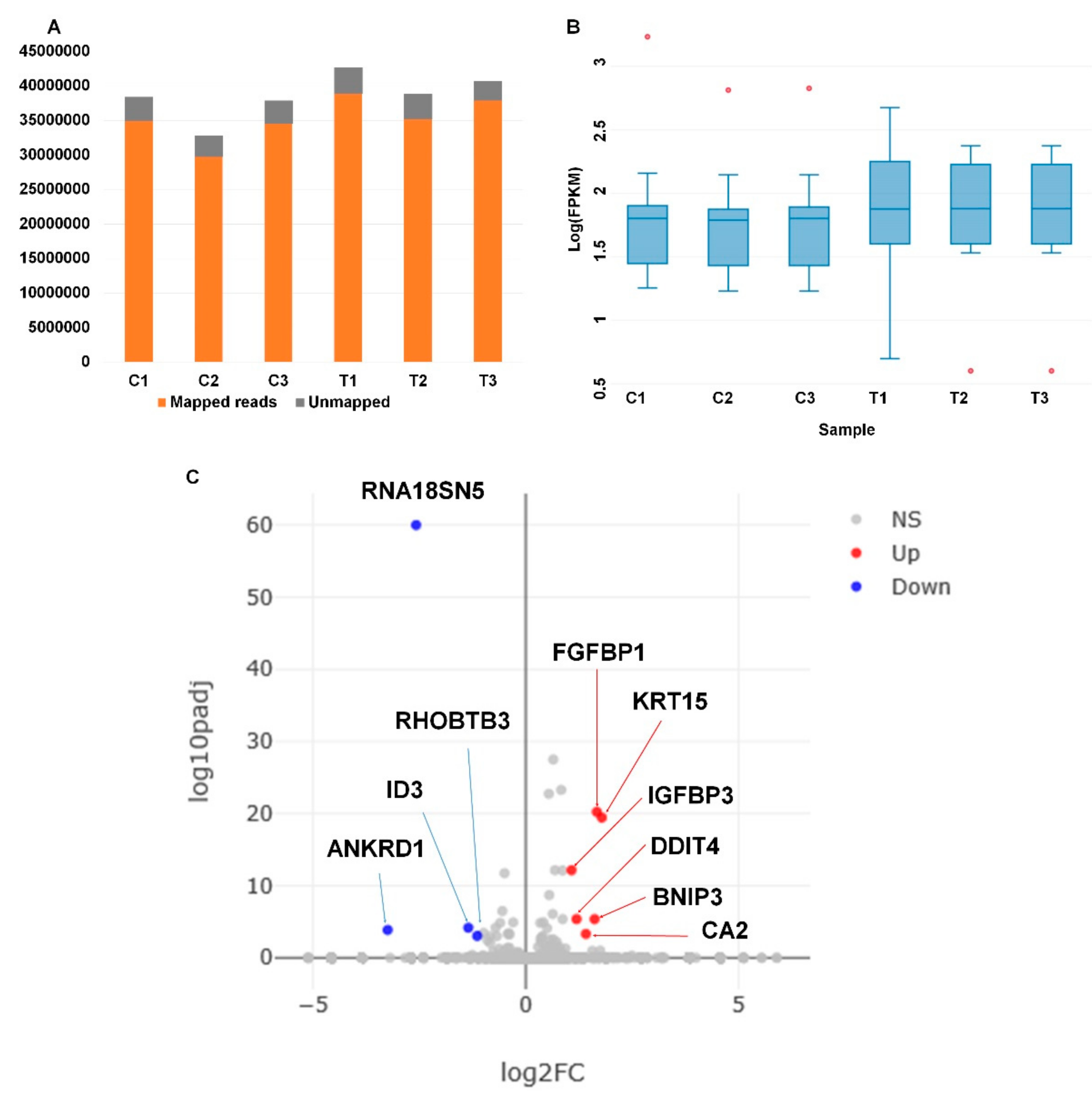 Genes 11 00230 g005