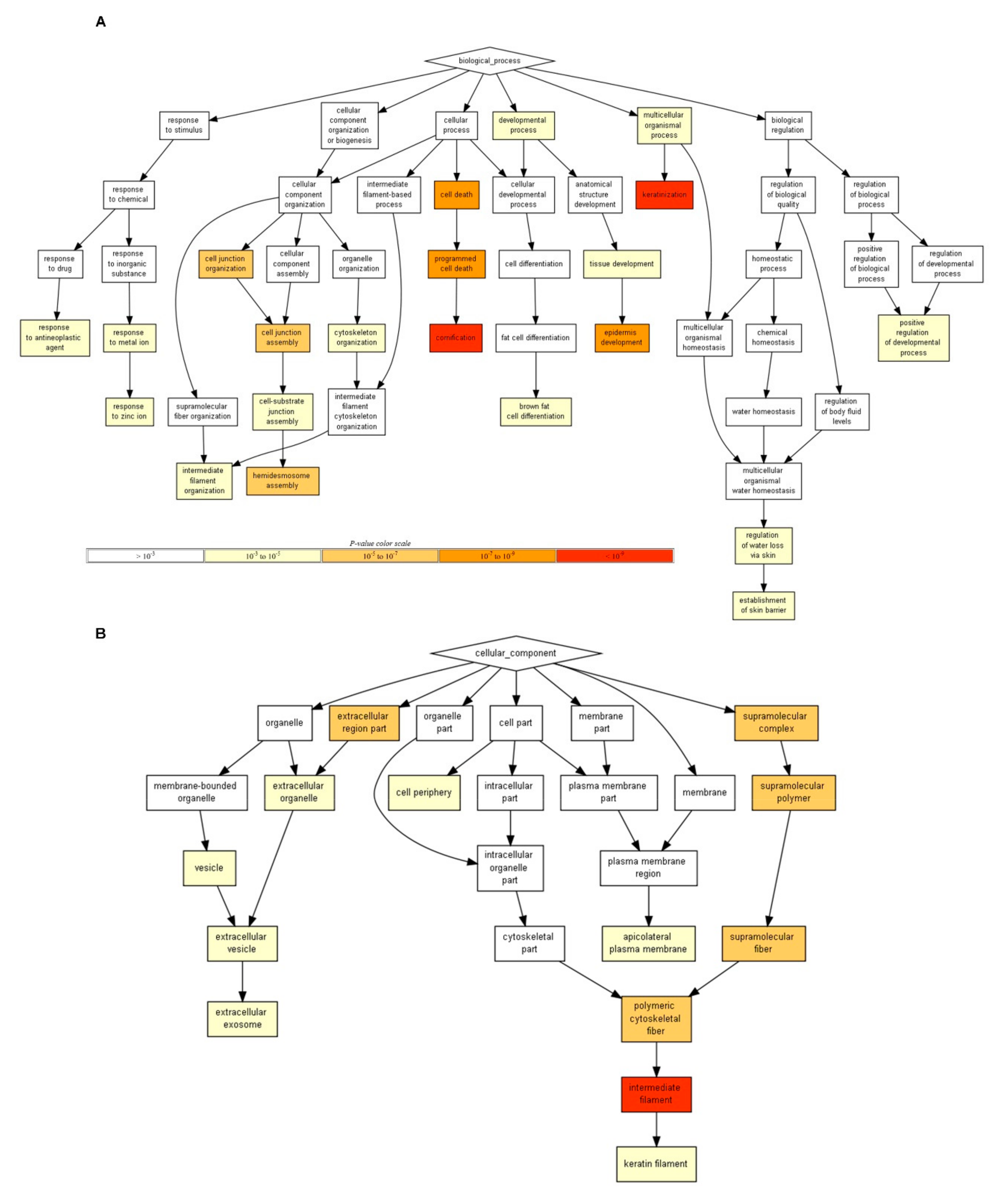 Genes 11 00230 g006