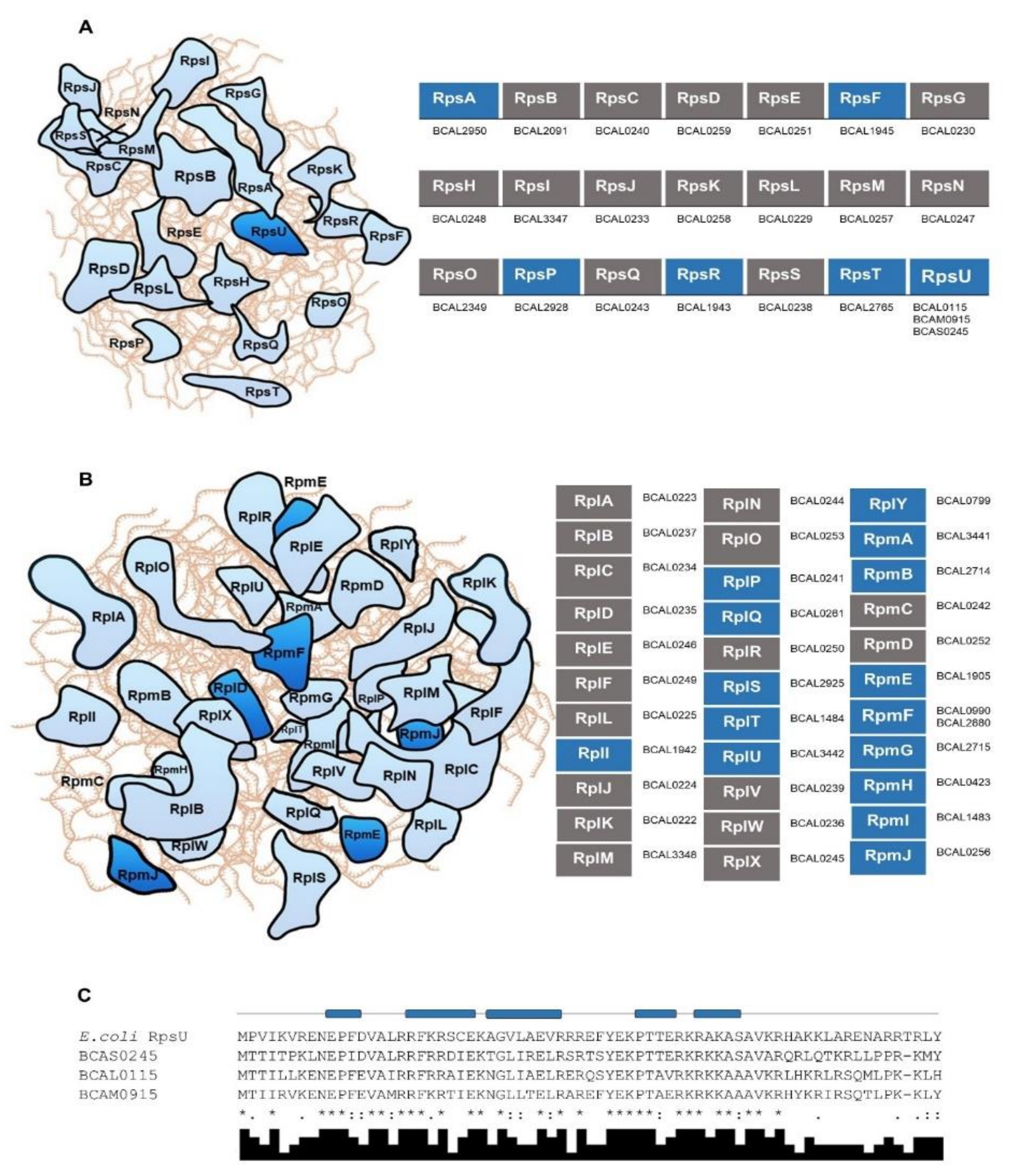 Genes 11 00231 g001 Genes 11 00231 g001